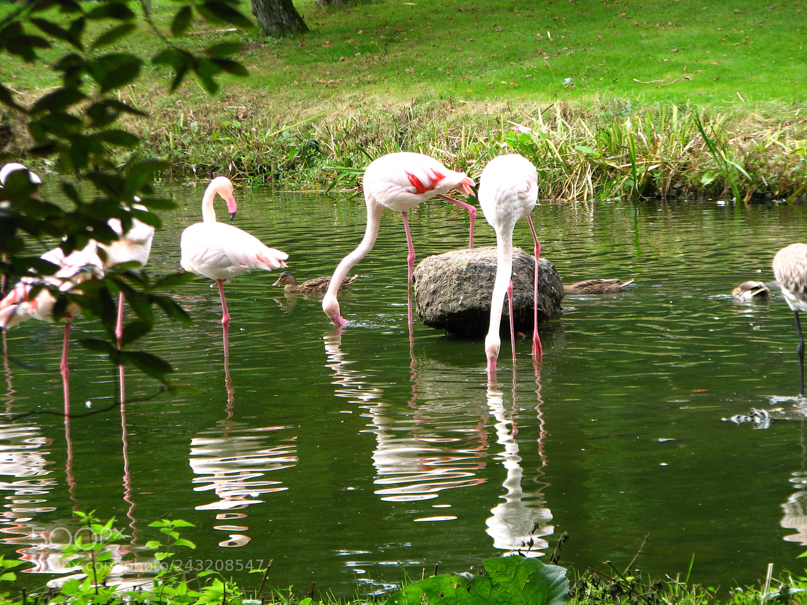Canon POWERSHOT S3 IS sample photo. Img photography