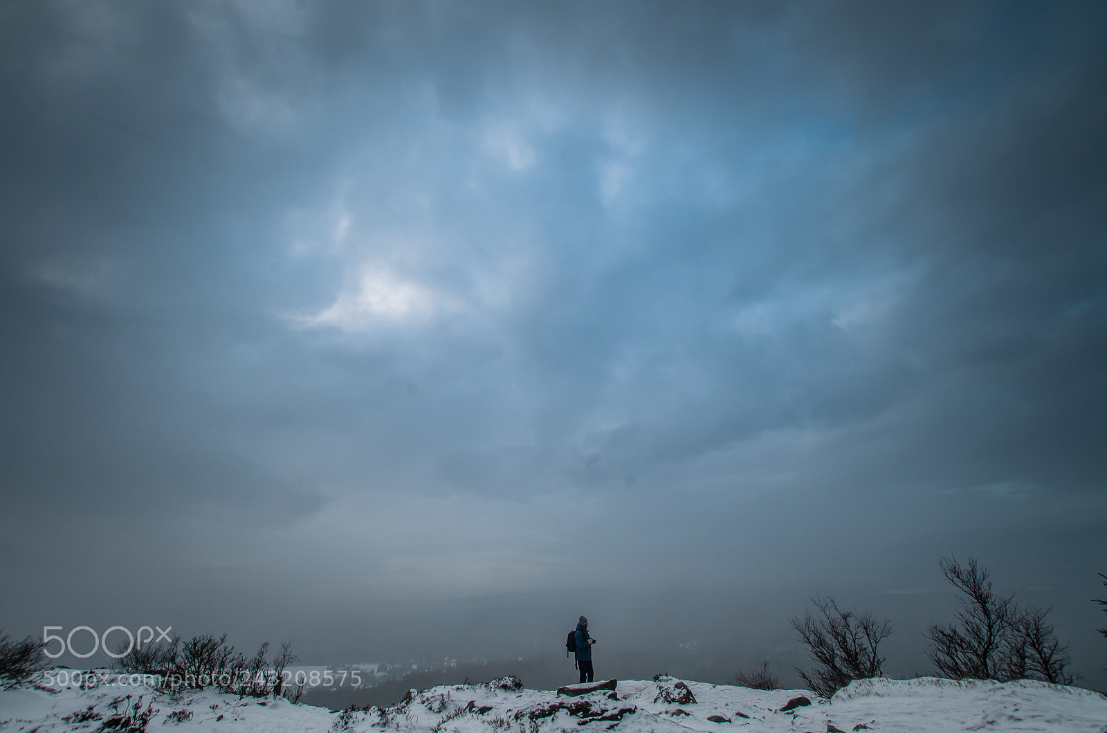Pentax K-50 sample photo. Untitled photography