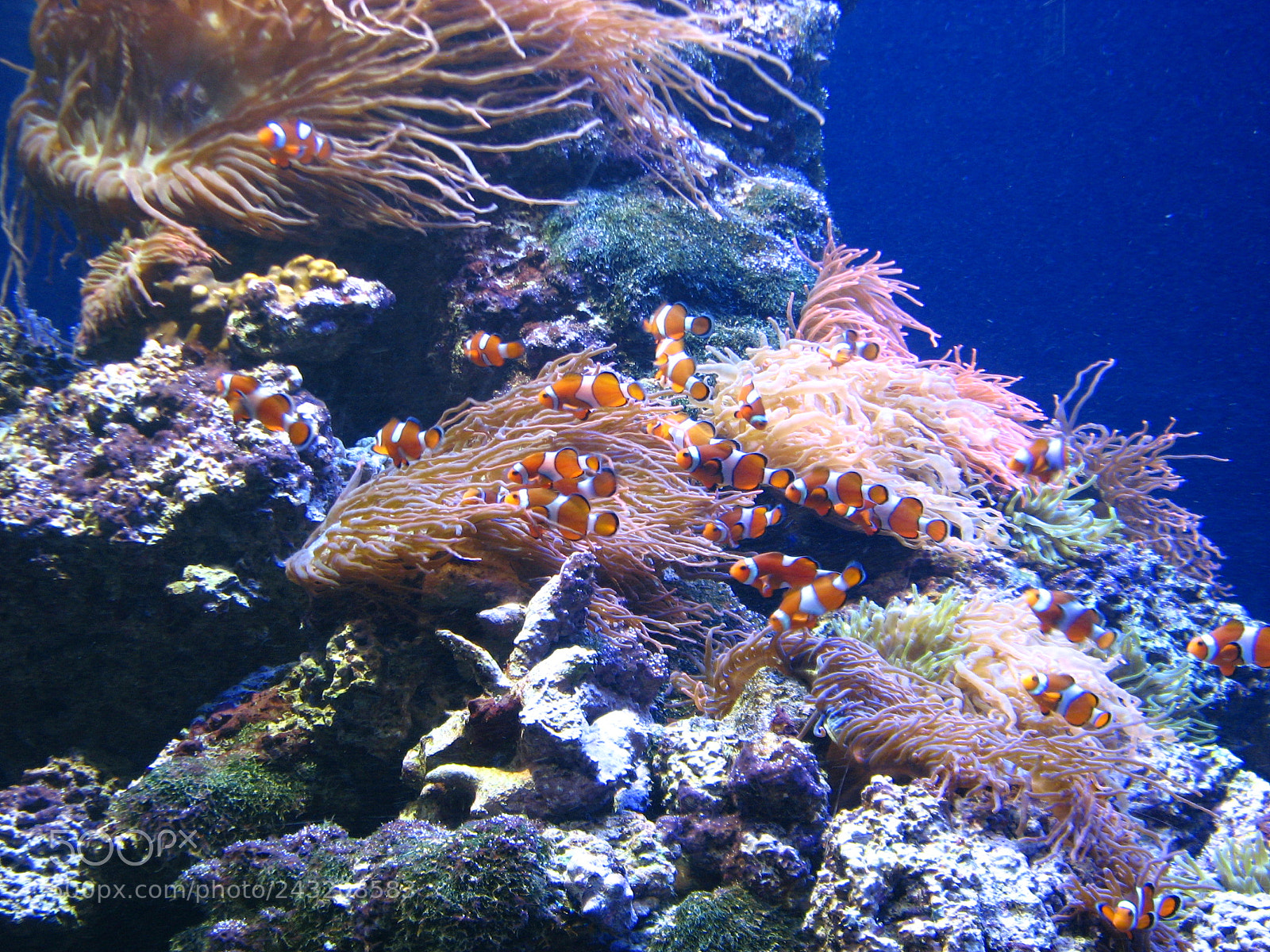 Canon POWERSHOT S3 IS sample photo. Img photography