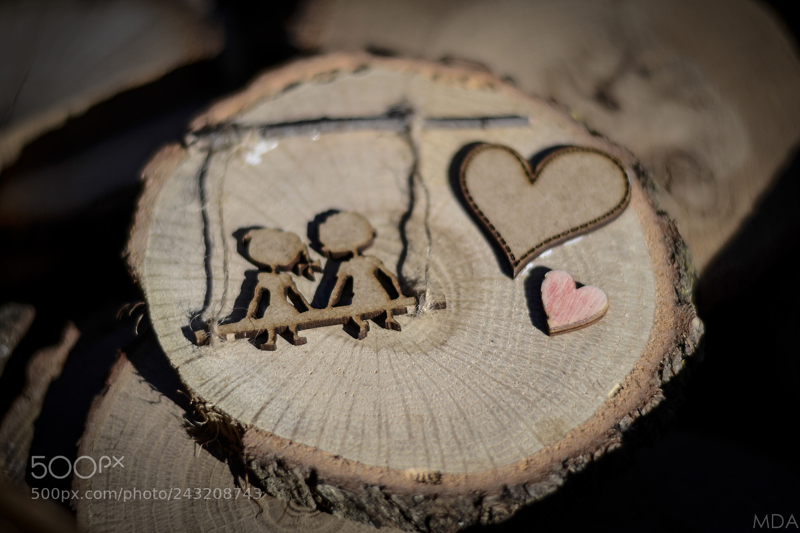 Nikon D3100 sample photo. Wood heart photography