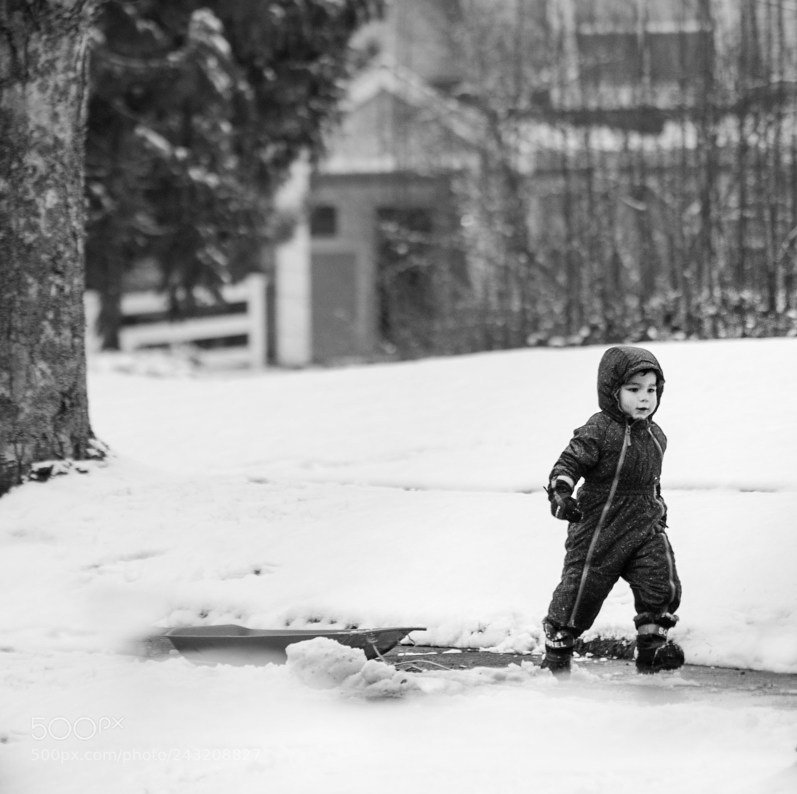 Sony a7 sample photo. Proudly walking boy photography
