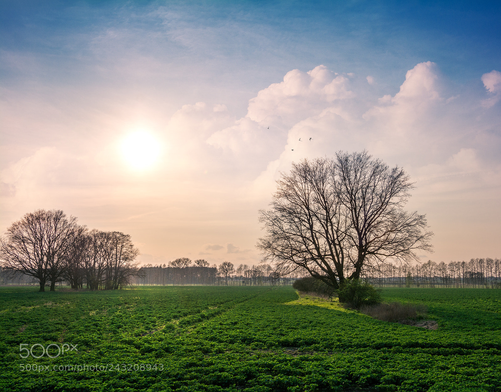 Nikon D7100 sample photo. Sanftes morgenerwachen photography