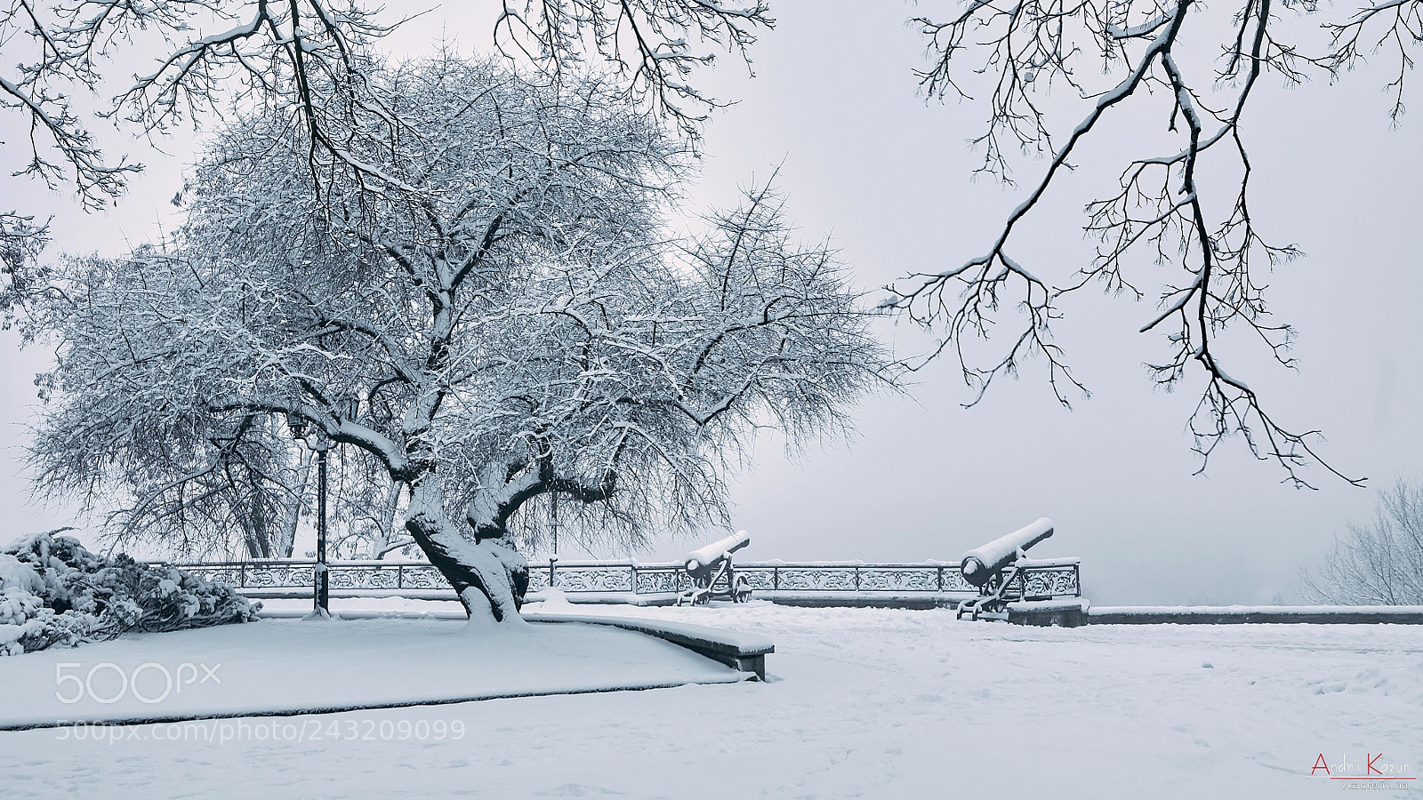 Nikon D300 sample photo. Snowy park photography