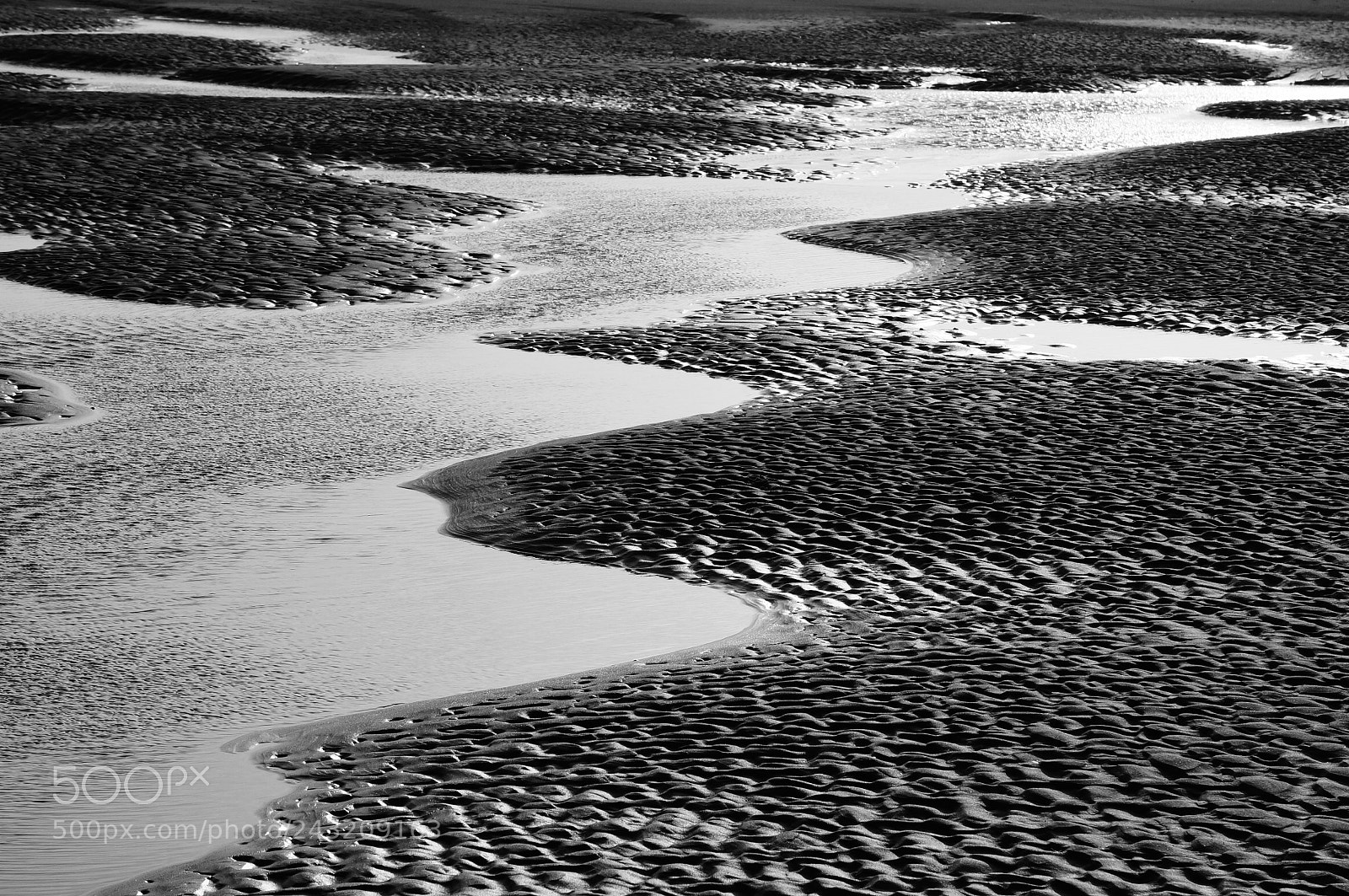 Sony Alpha NEX-6 sample photo. Le touquet - reflets photography