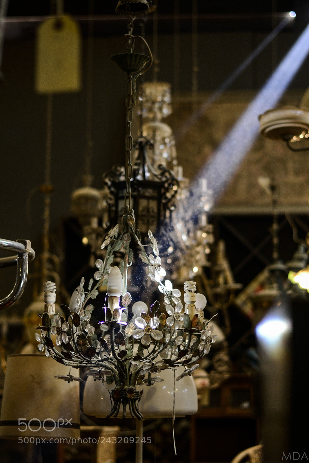 Nikon D3100 sample photo. The other ligth photography
