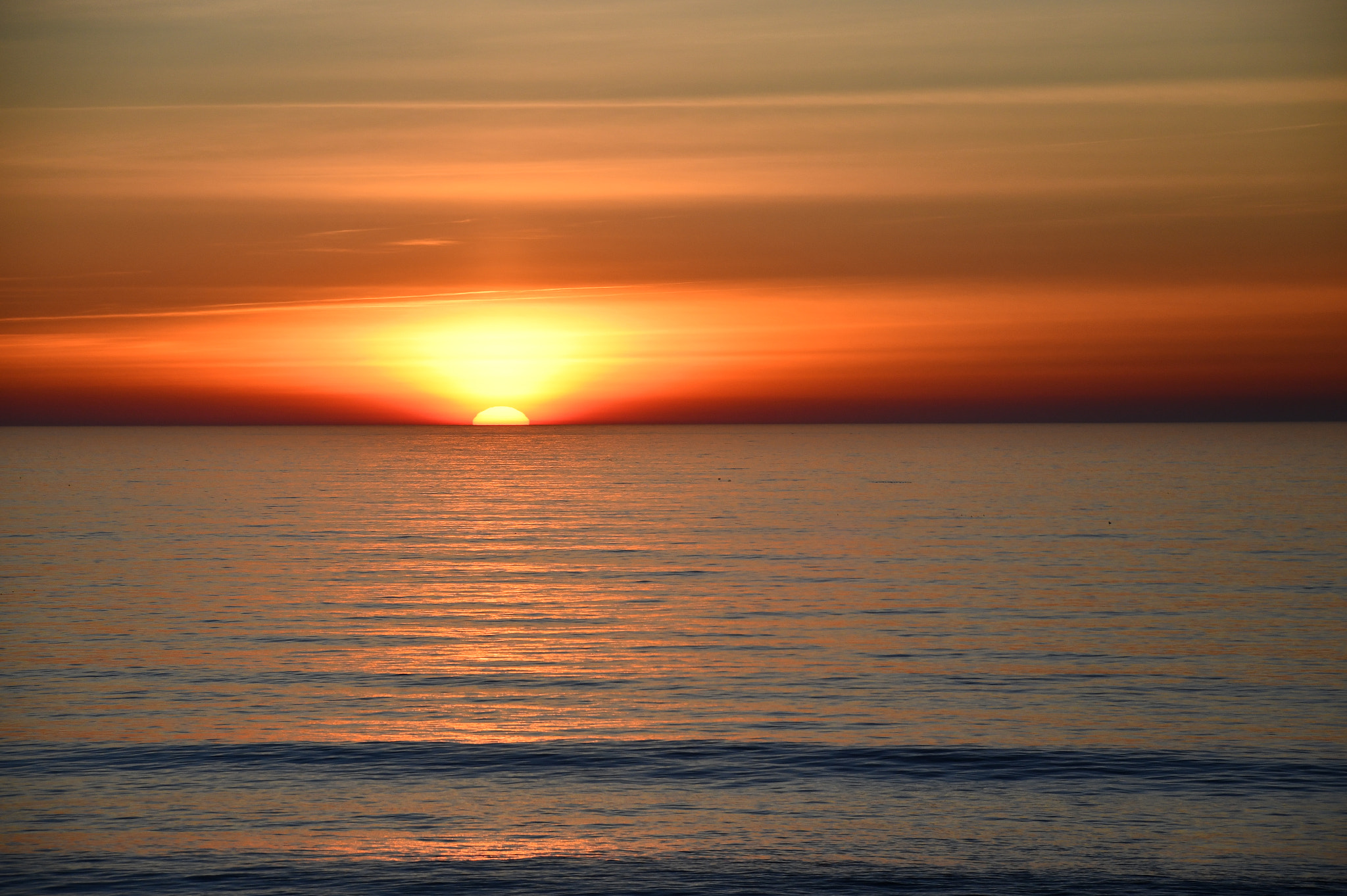 Nikon D850 sample photo. Sunset at doggie beach, del mar, ca photography