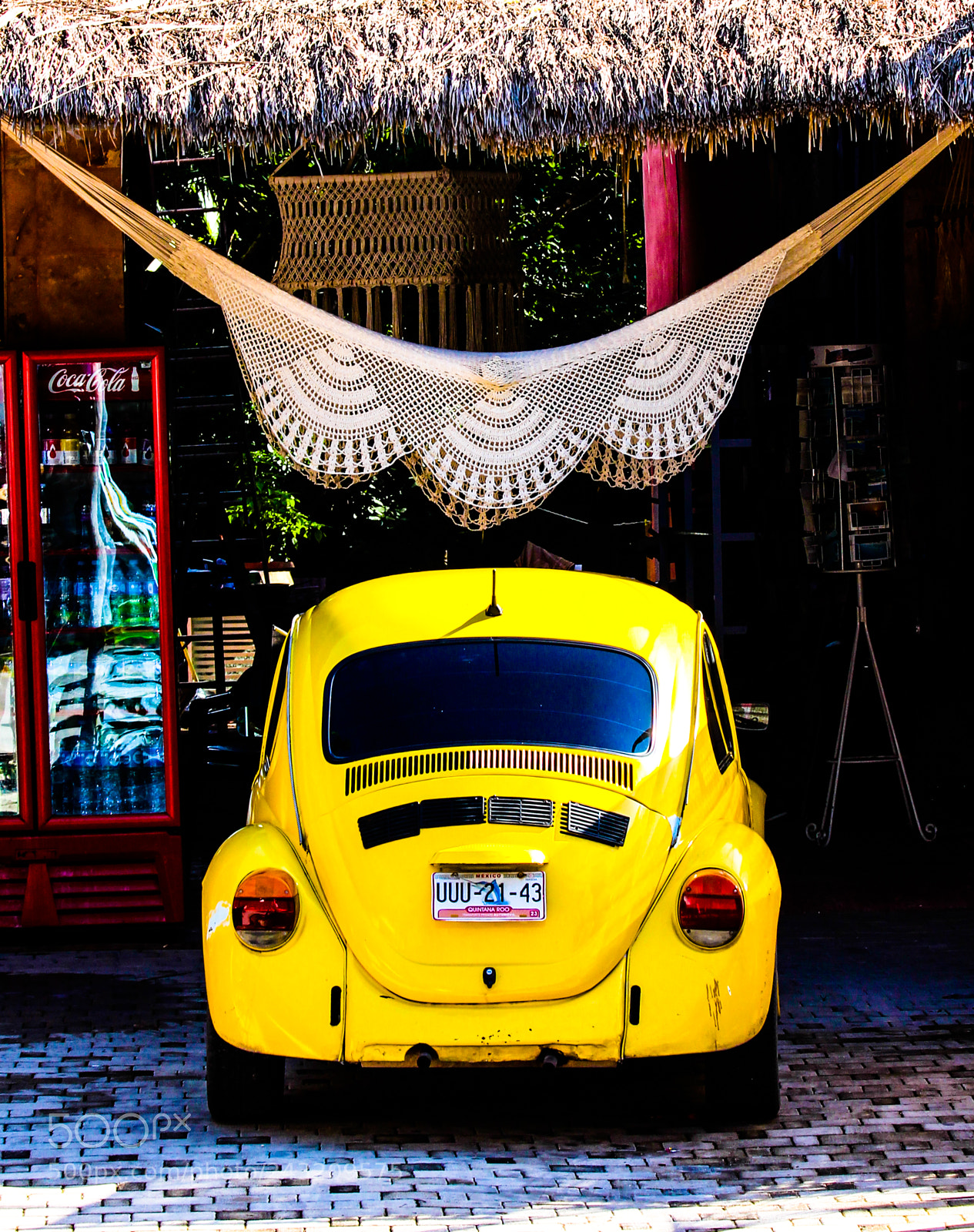 Canon EOS 650D (EOS Rebel T4i / EOS Kiss X6i) sample photo. Yellow beetle photography
