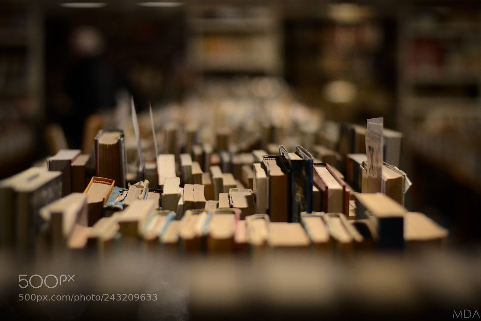 Nikon D3100 sample photo. Old books photography