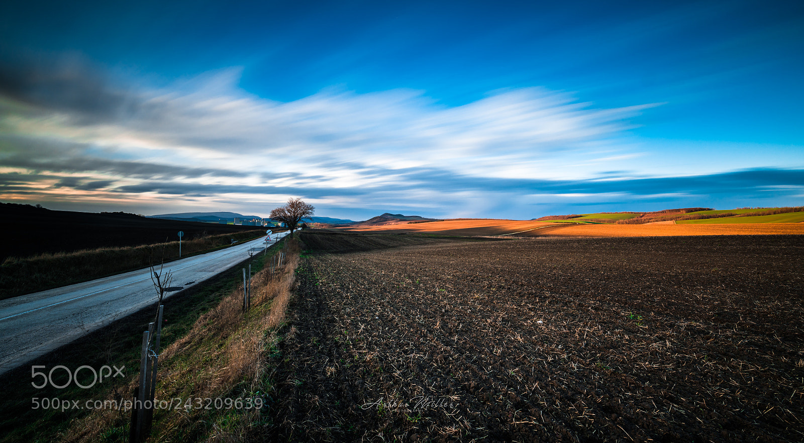 Nikon D850 sample photo. On the road photography