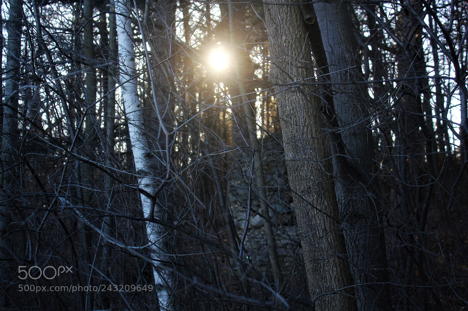 Canon EOS 550D (EOS Rebel T2i / EOS Kiss X4) sample photo. Cold wind photography