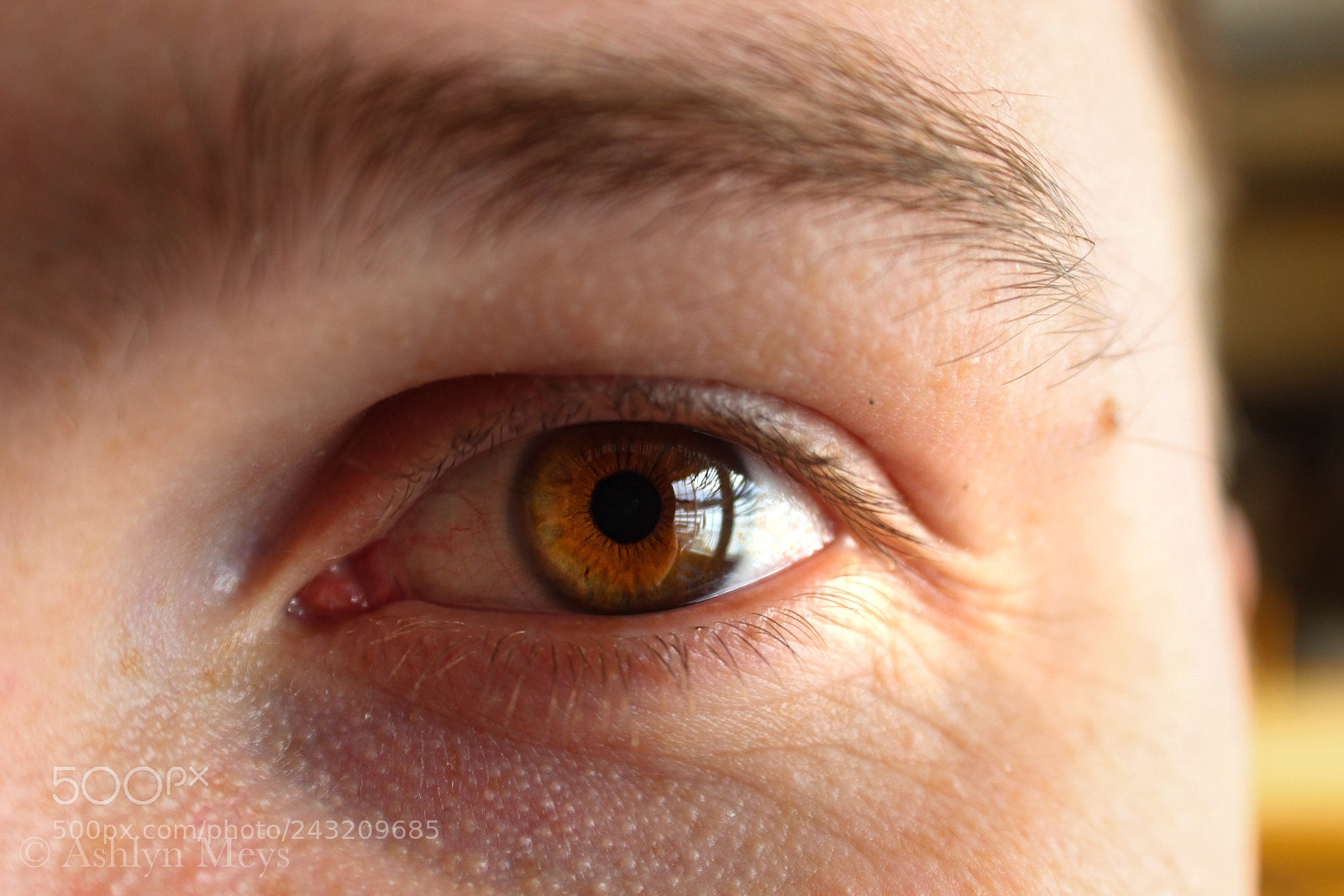 Canon EOS 1300D (EOS Rebel T6 / EOS Kiss X80) sample photo. Eyes of love photography