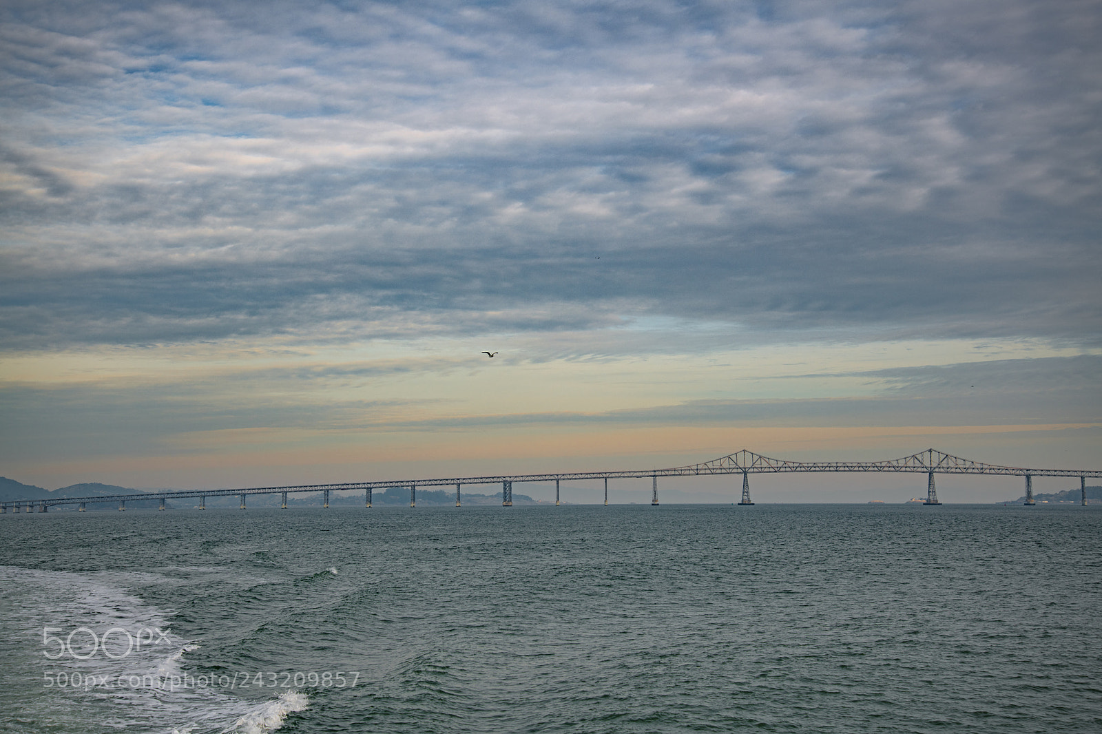 Nikon D850 sample photo. Bay bridge photography