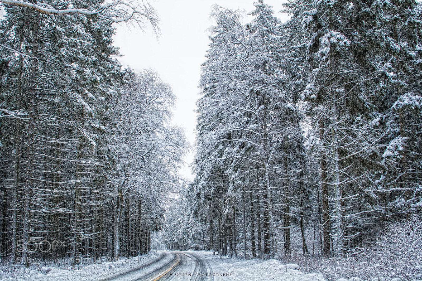 Nikon D7100 sample photo. ~ a winterday ~ photography
