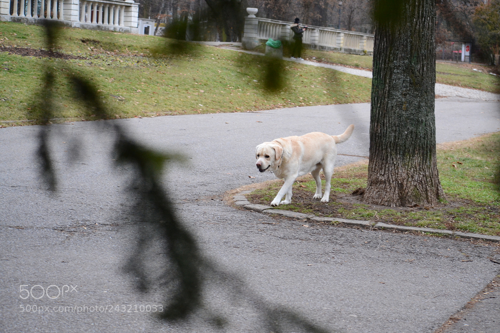 Nikon D3100 sample photo. Keep walking. photography