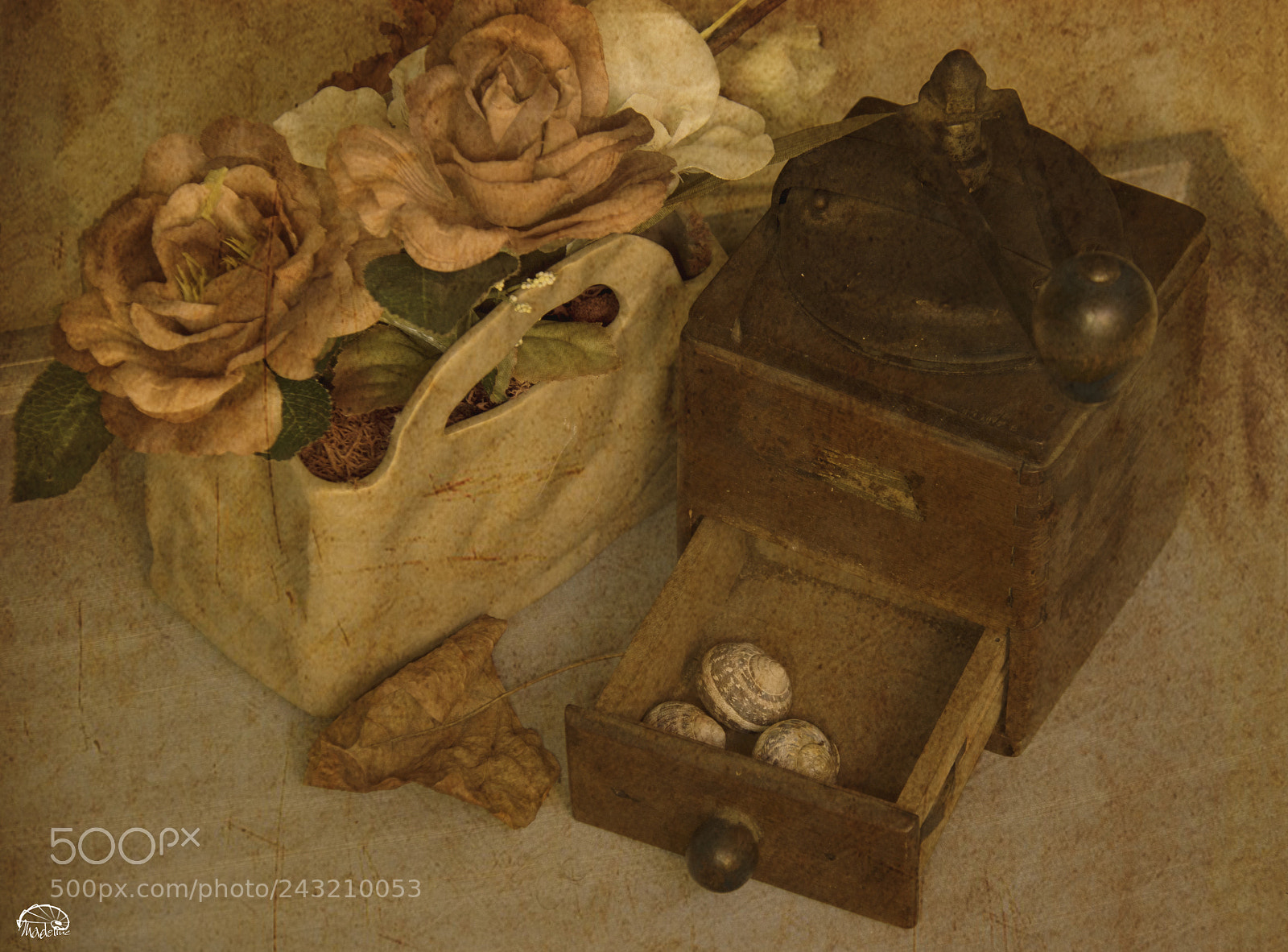 Canon EOS 7D Mark II sample photo. 3 escargots... photography
