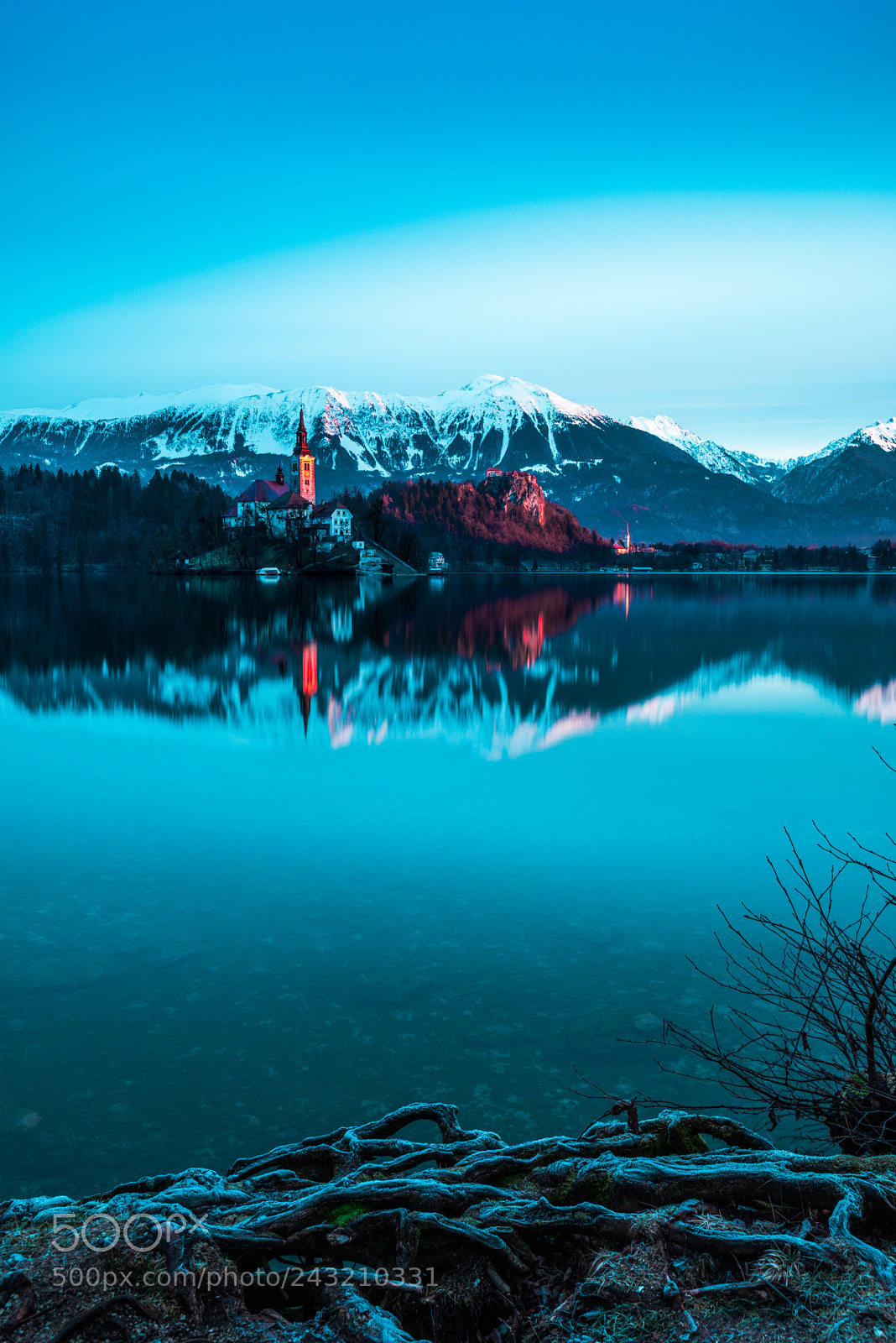 Nikon D800 sample photo. Bled photography