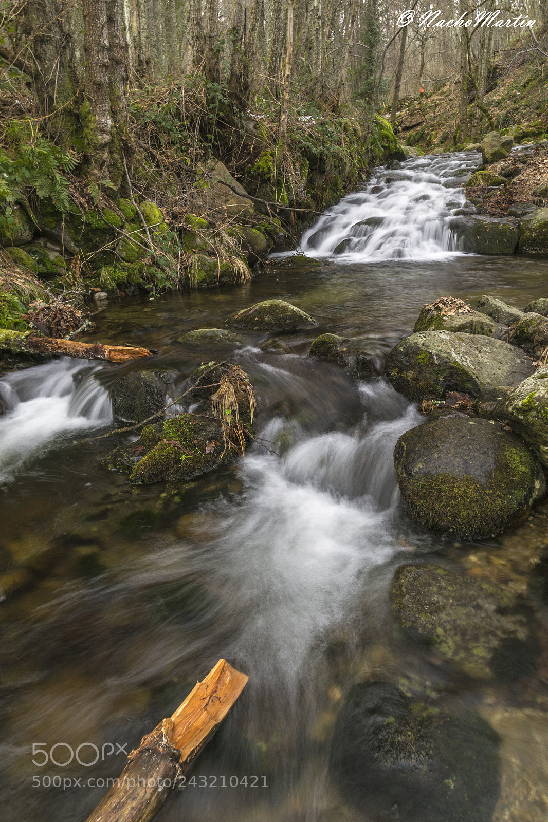 Nikon D3100 sample photo. Fr as aguas de photography