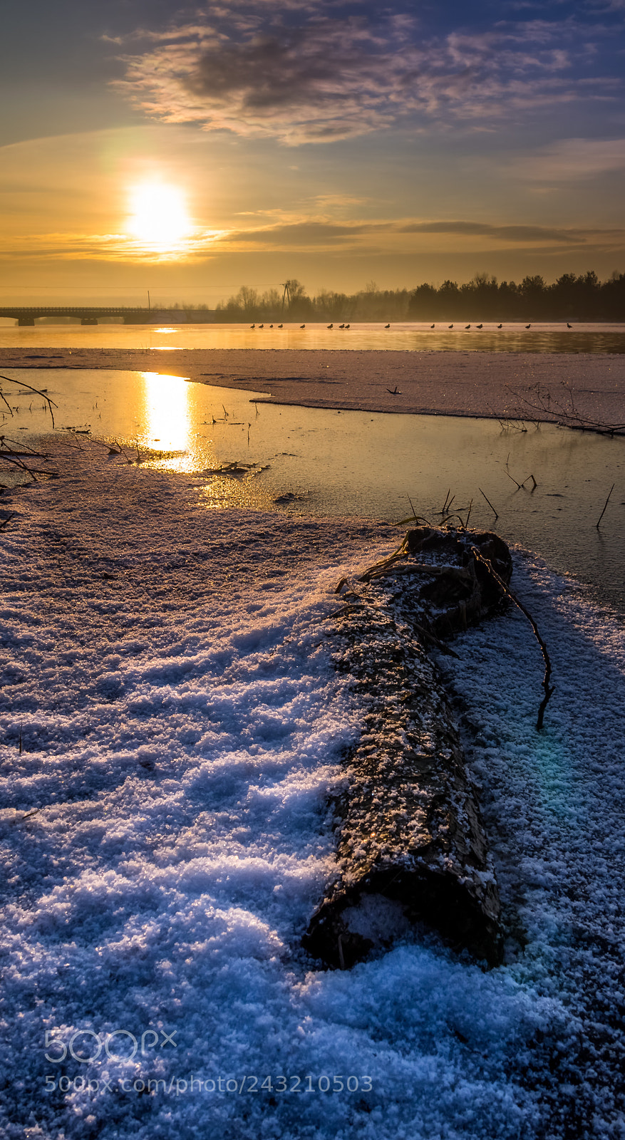 Olympus PEN E-PL6 sample photo. Ducks on the ice photography