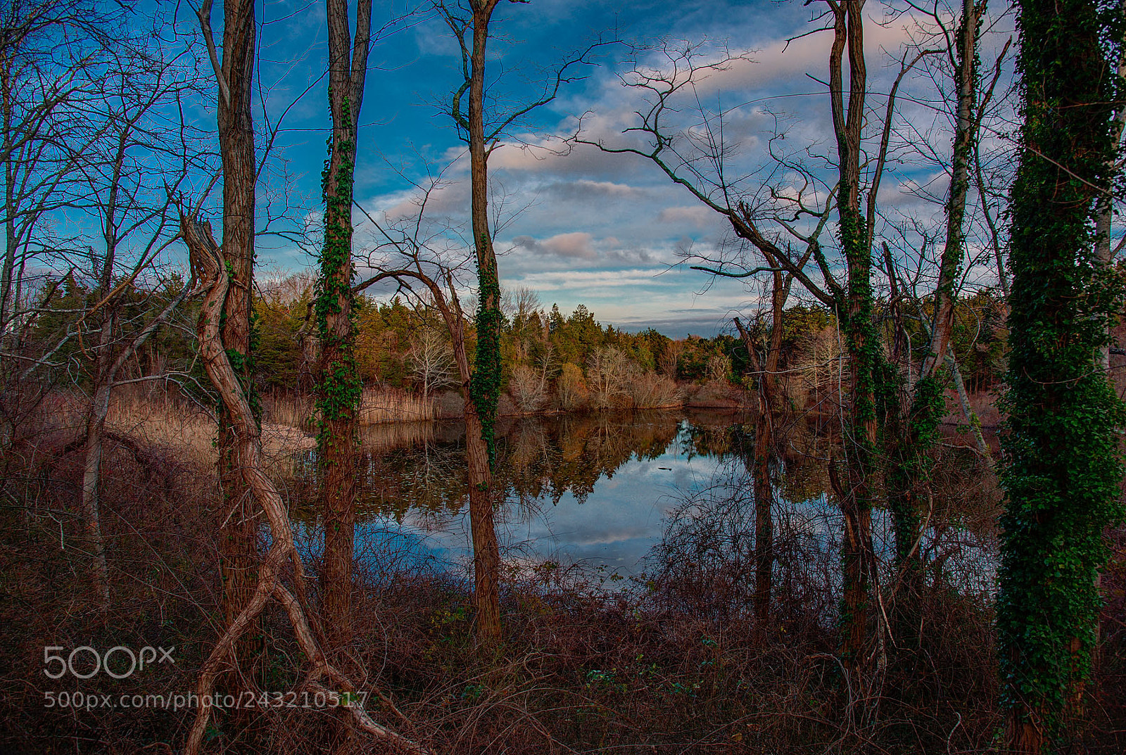 Nikon D800 sample photo. C fused photography