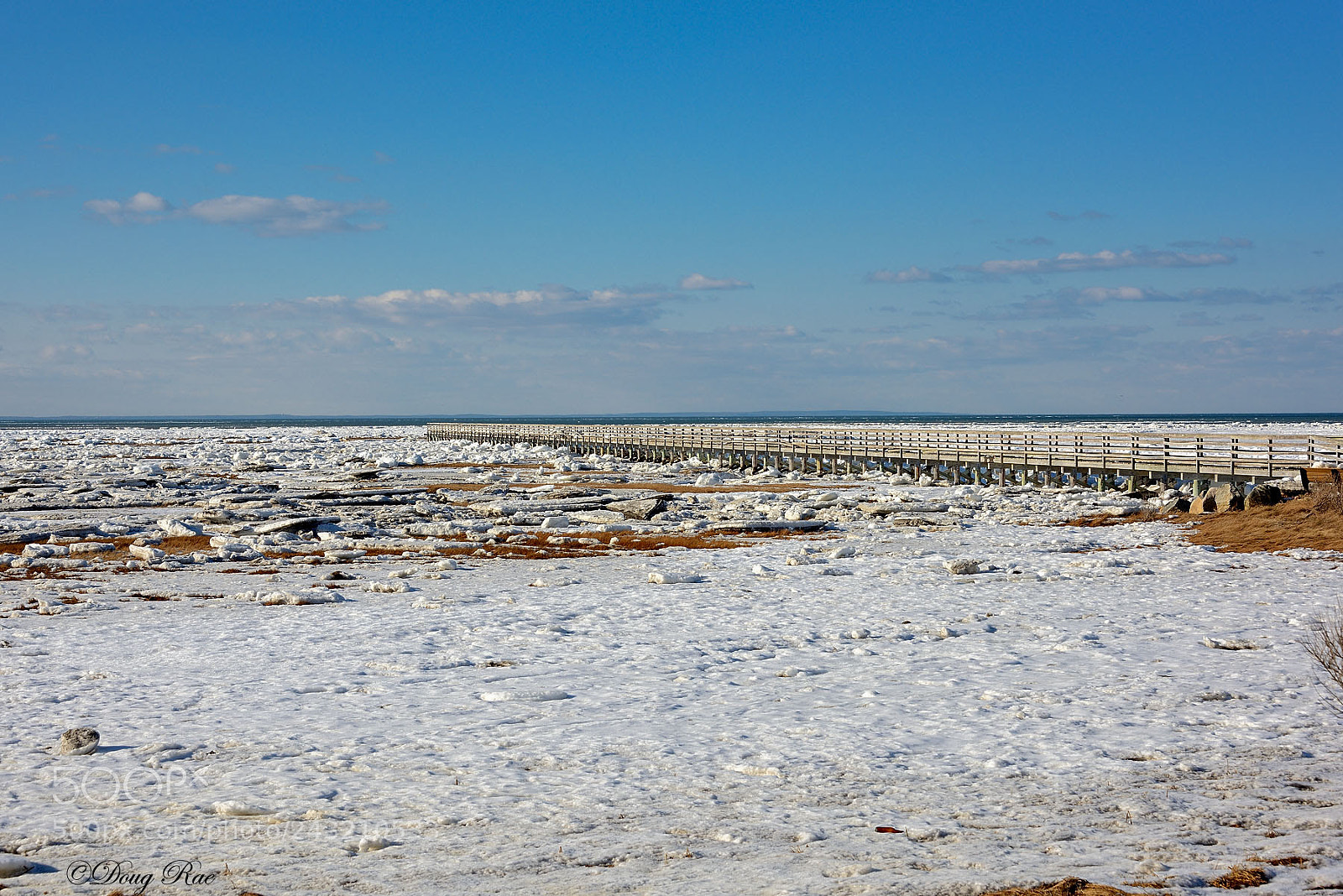 Nikon D800 sample photo. Gray's beach photography