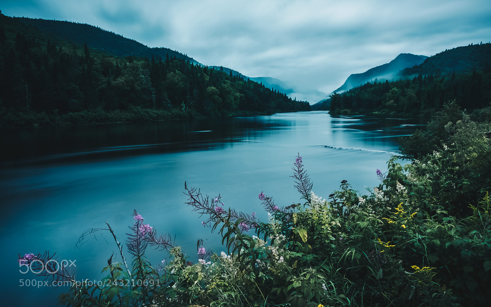 Fujifilm X-T2 sample photo. Parc national de la photography