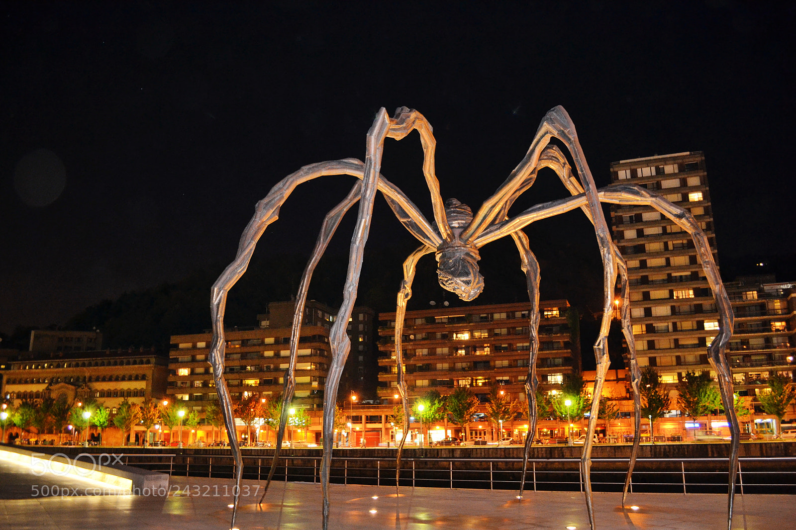 Nikon D3100 sample photo. Spider in night lights photography