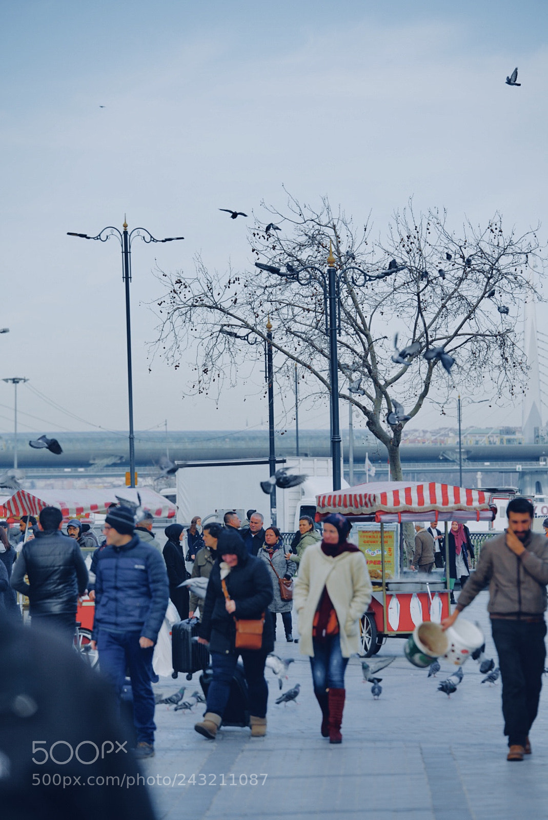 Sony a7R II sample photo. M s r baharat photography