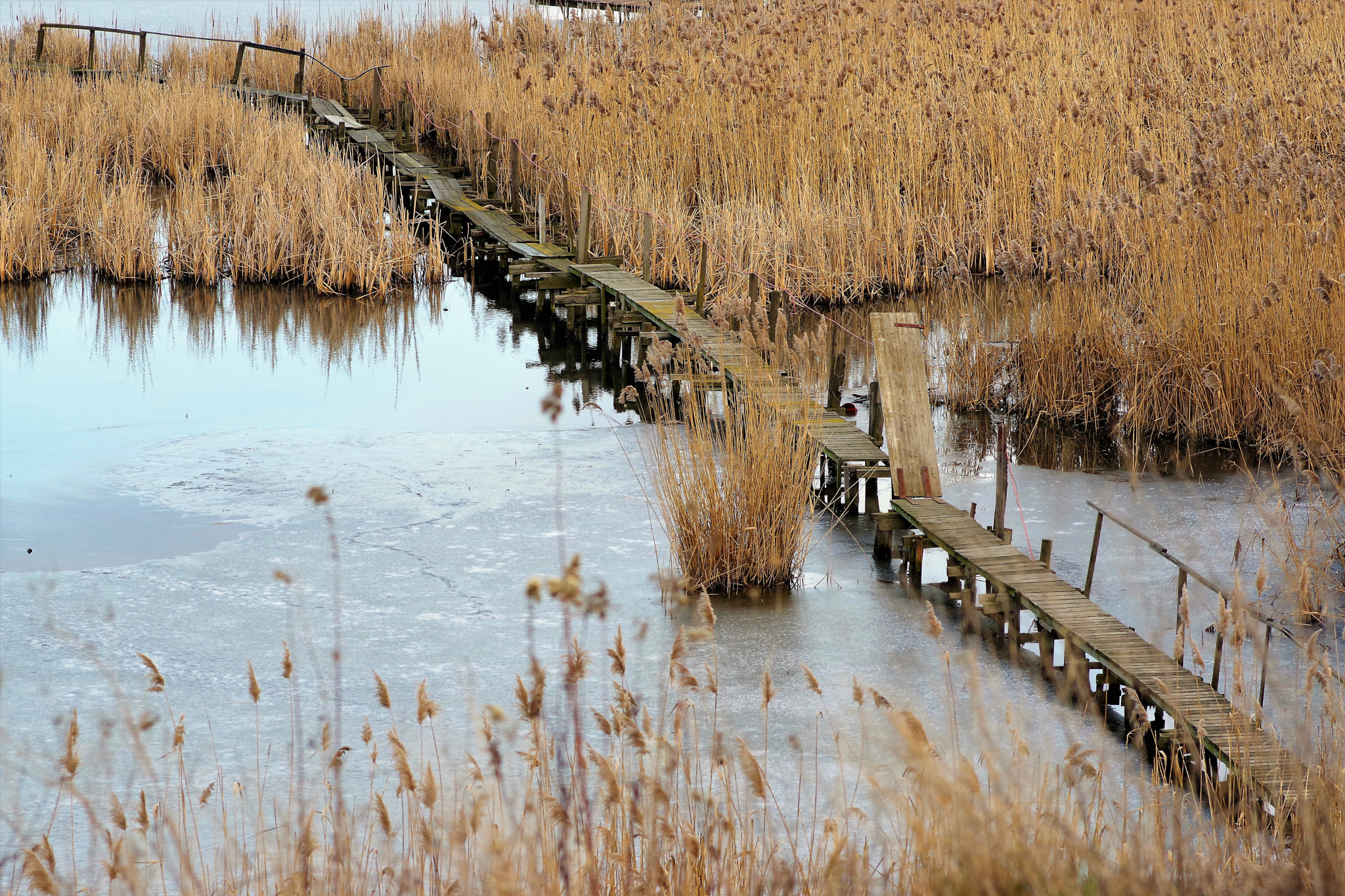 Pentax K-70 sample photo. Fishing footbridge photography