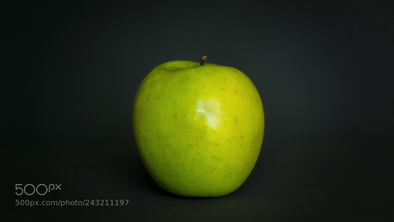 Sony SLT-A65 (SLT-A65V) sample photo. Macaverde photography