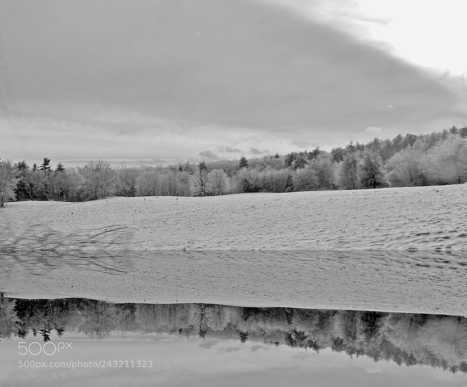 Nikon D60 sample photo. Park & lake under snow! photography