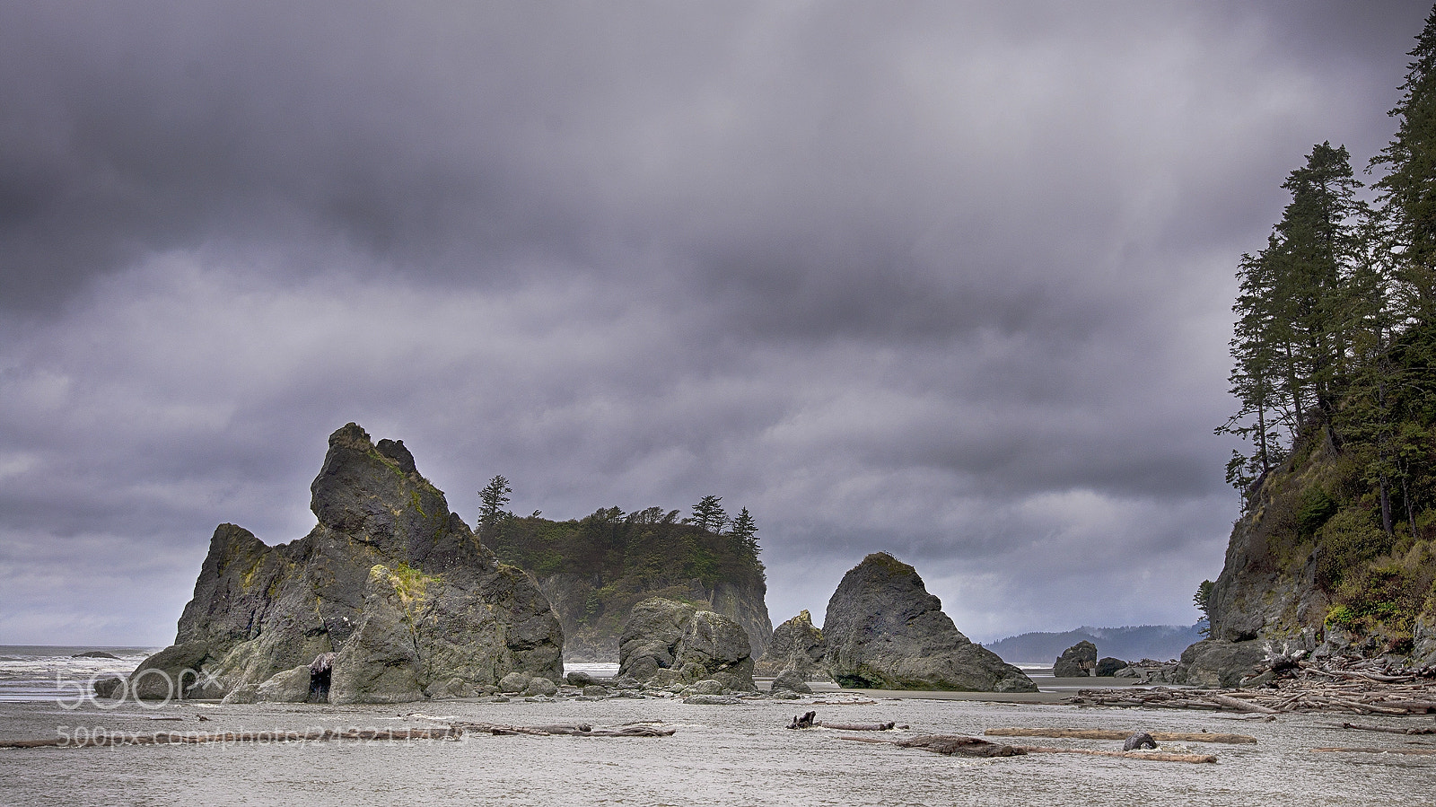 Nikon D610 sample photo. Ruby beach photography