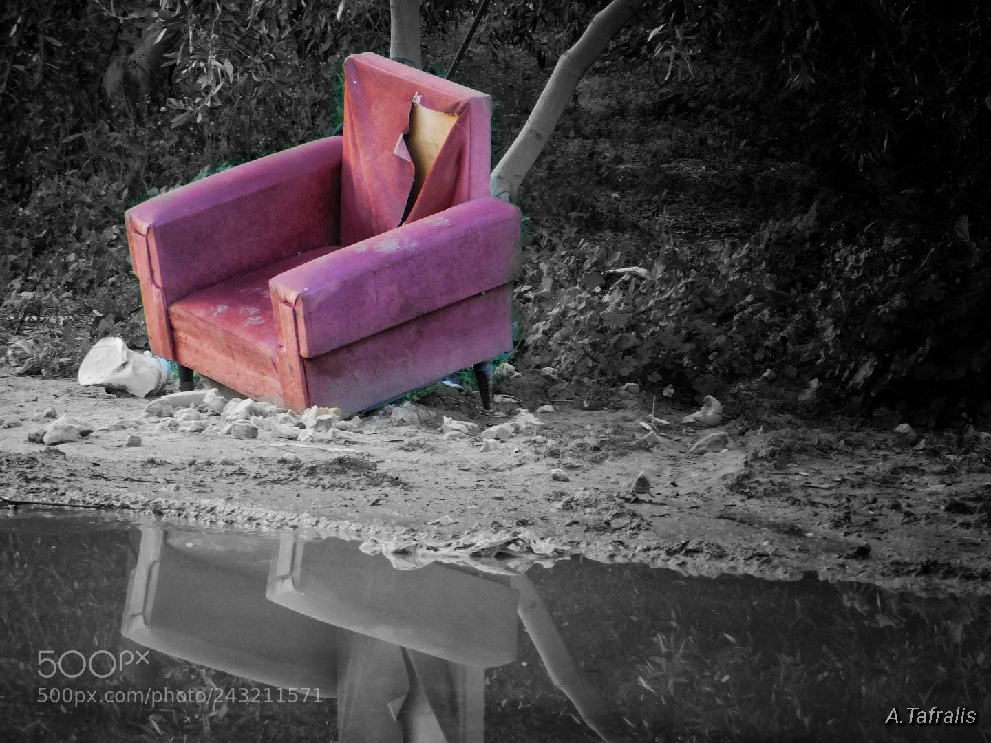 Nikon Coolpix B500 sample photo. Untitled photography