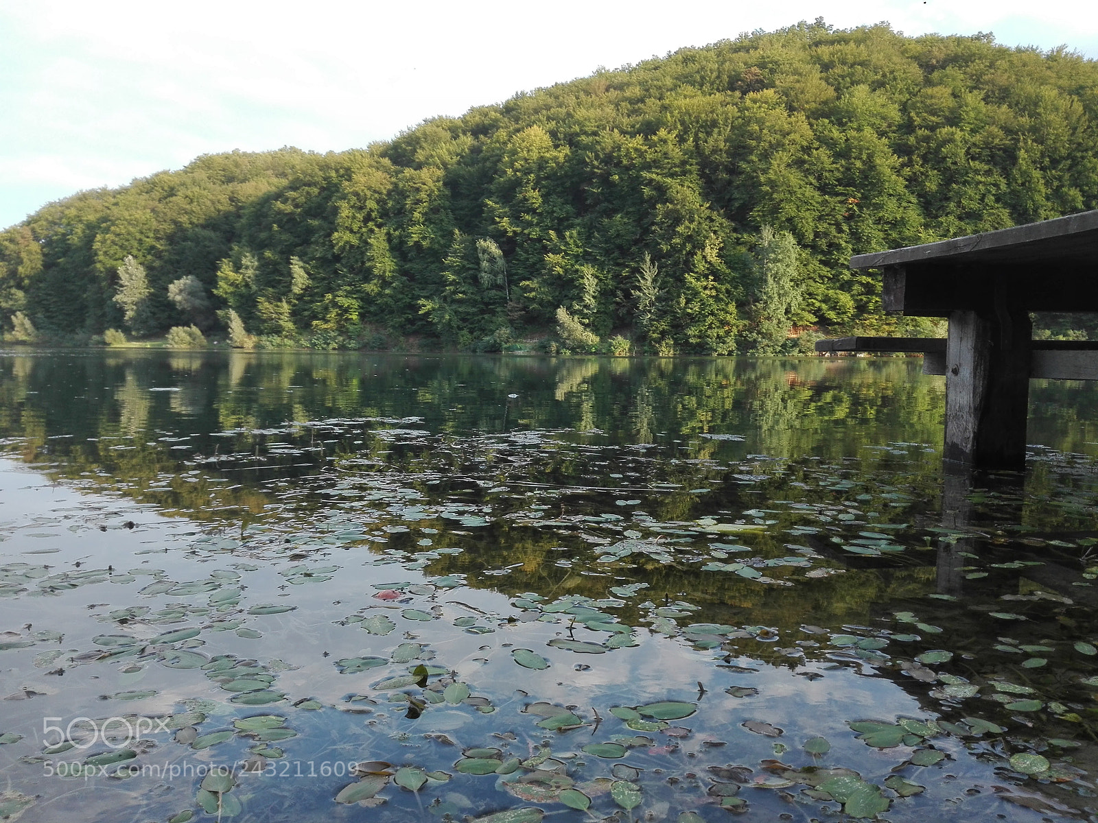 HUAWEI P8 Lite sample photo. Paradise photography