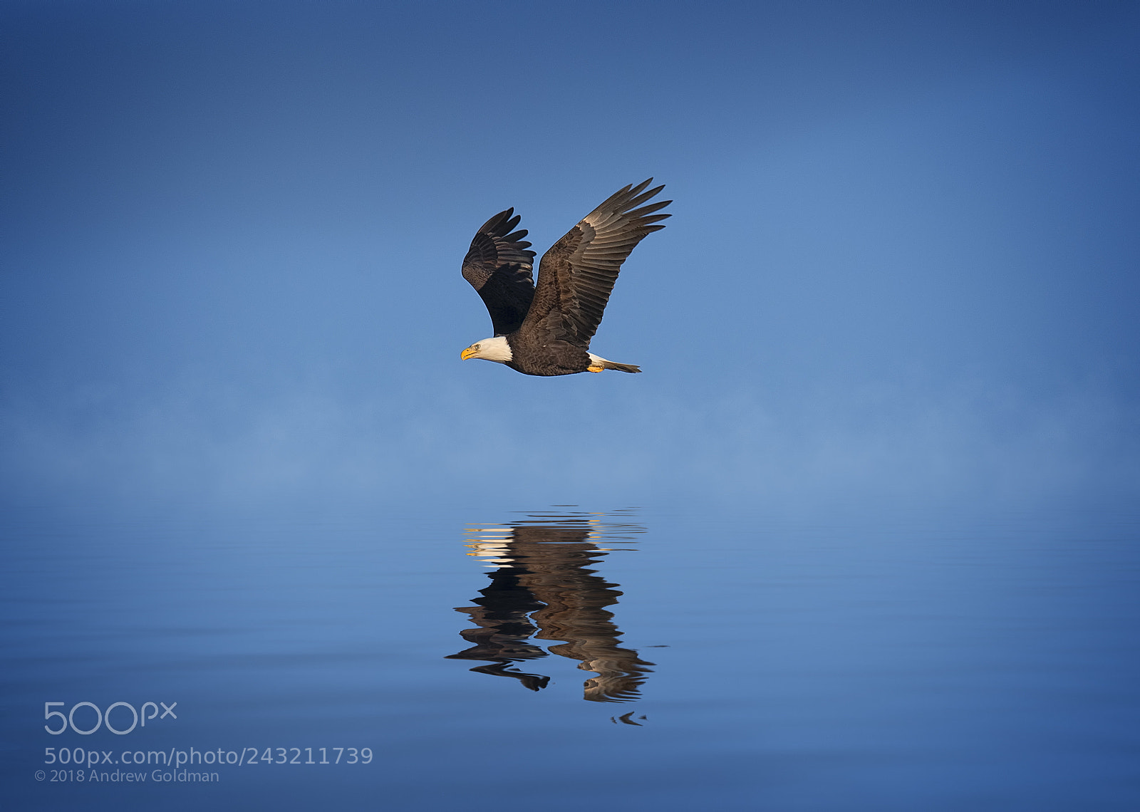 Nikon D500 sample photo. Flight (composite) photography