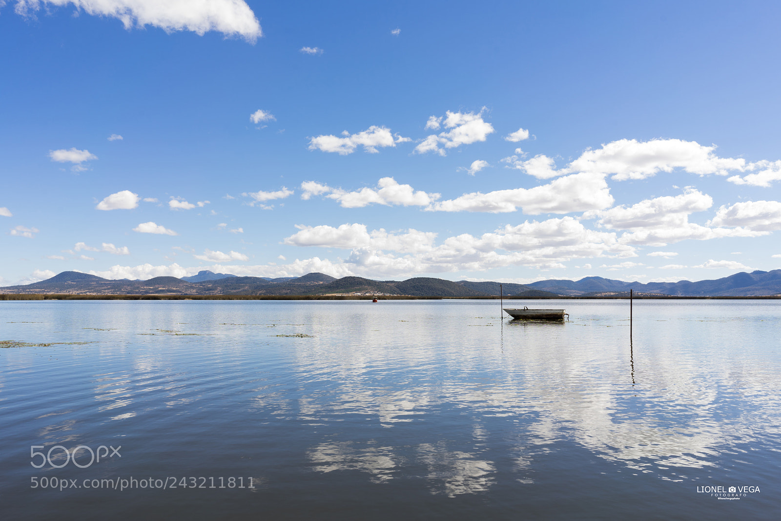 Sony a7 II sample photo. Sony sonyalpha sonya7ii 28mmf28 photography