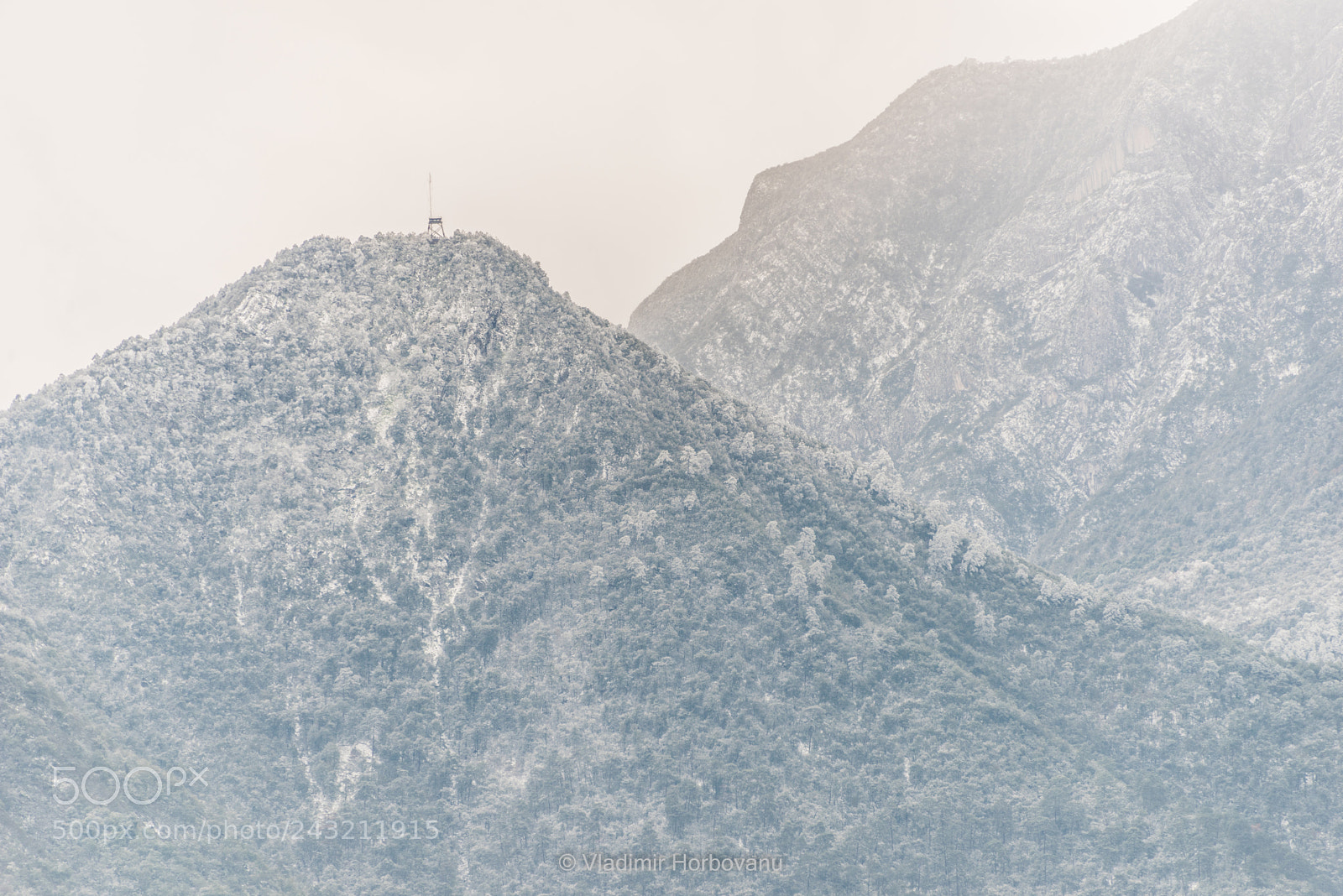 Nikon D810 sample photo. Lonely photography