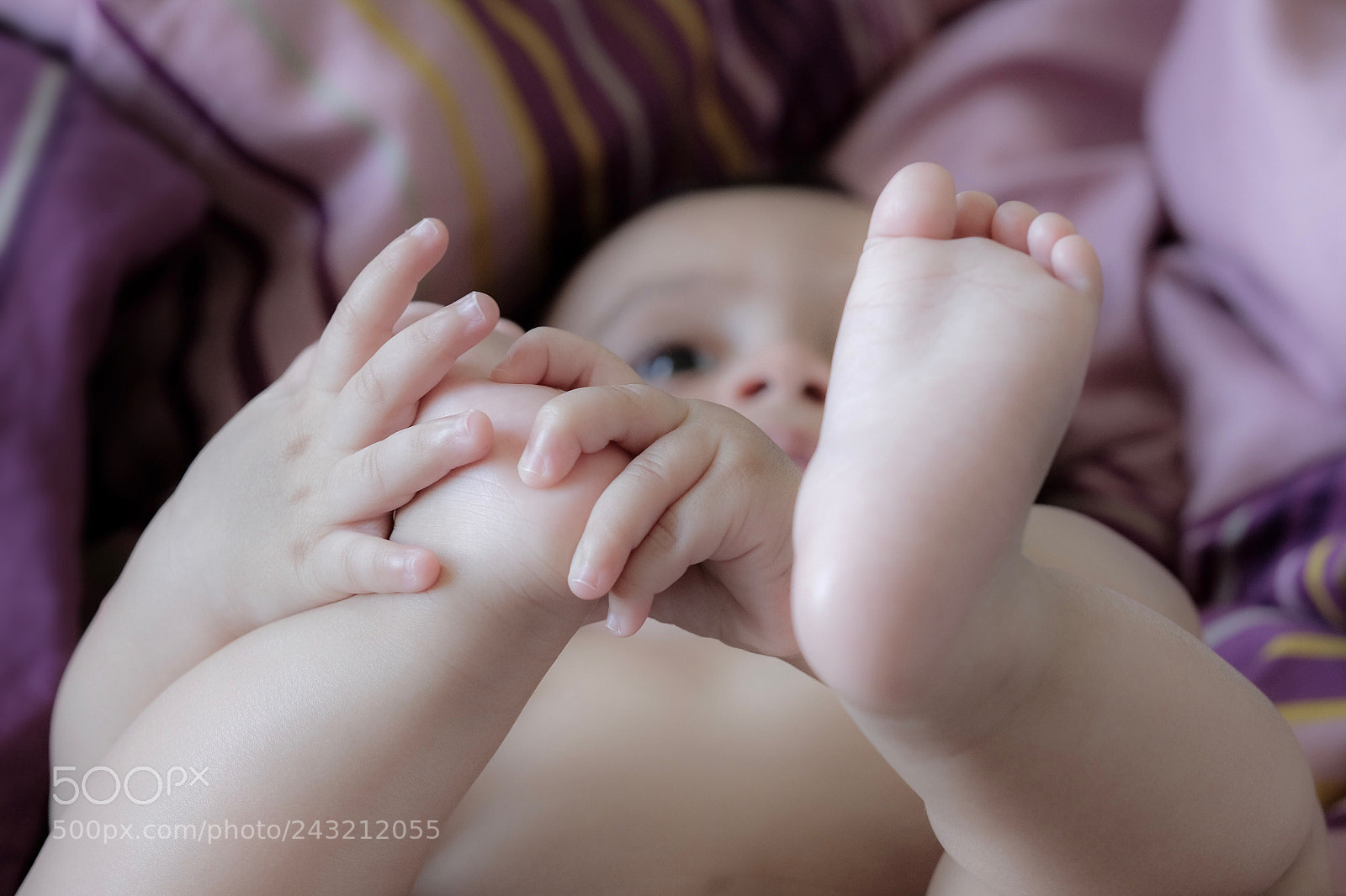 Fujifilm X-T2 sample photo. Softie ! photography