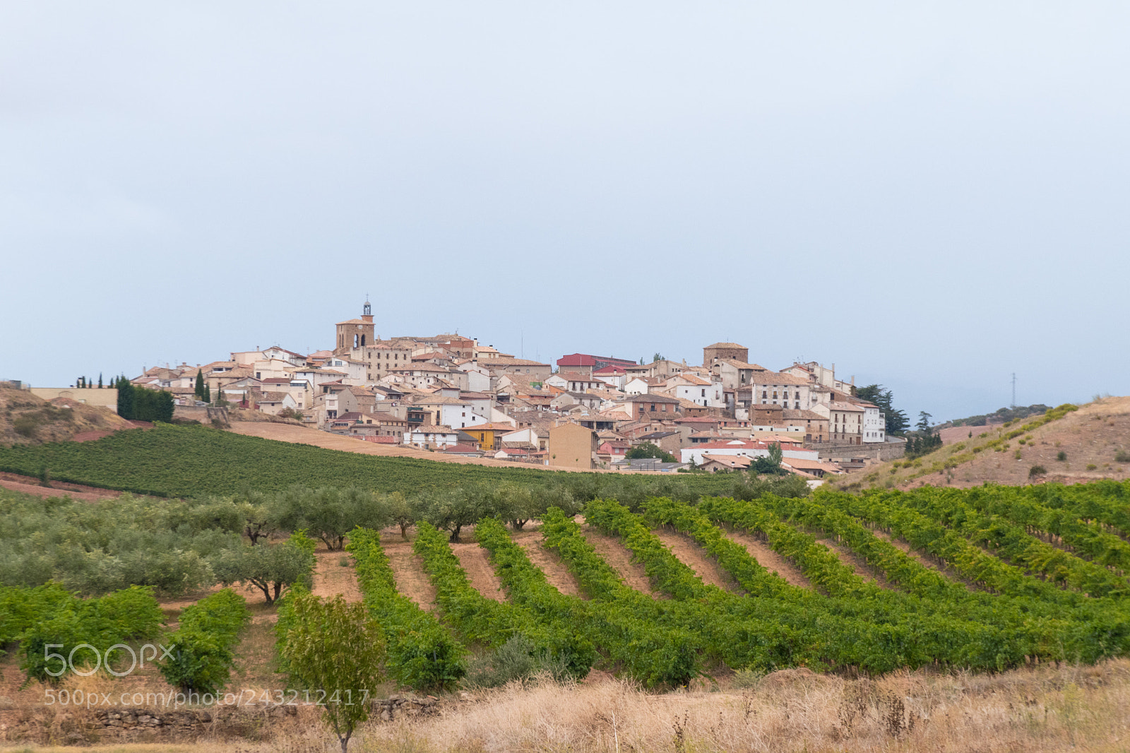 Nikon D5500 sample photo. Town on the hill photography