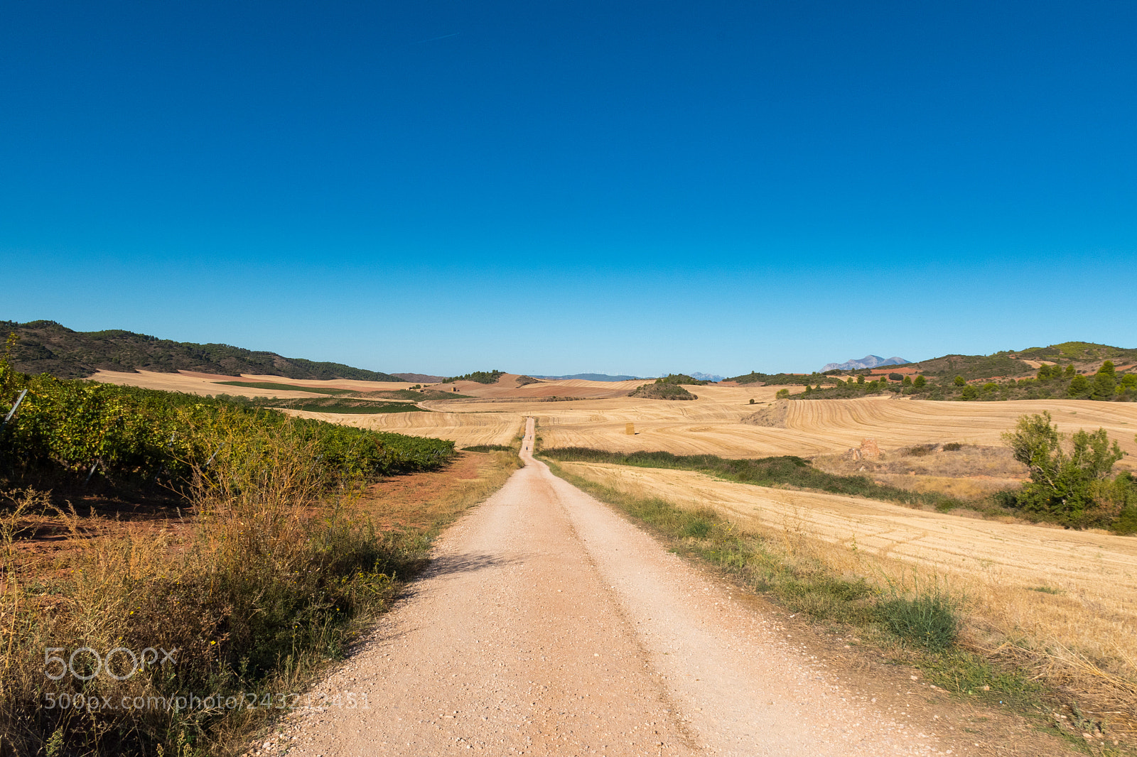 Nikon D5500 sample photo. The dusty trail photography