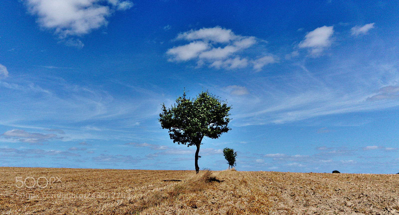 Sony Alpha NEX-5 sample photo. . photography