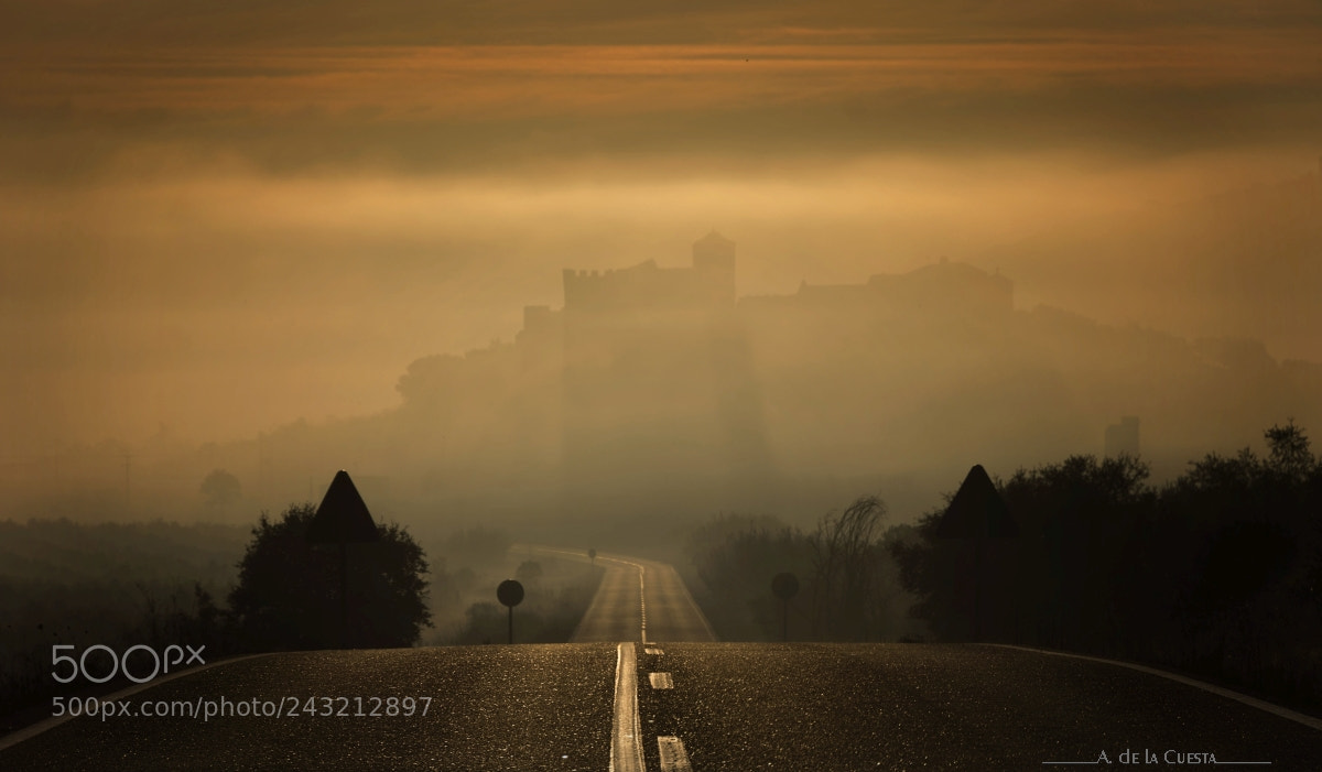 Nikon D7100 sample photo. Fog in the road photography