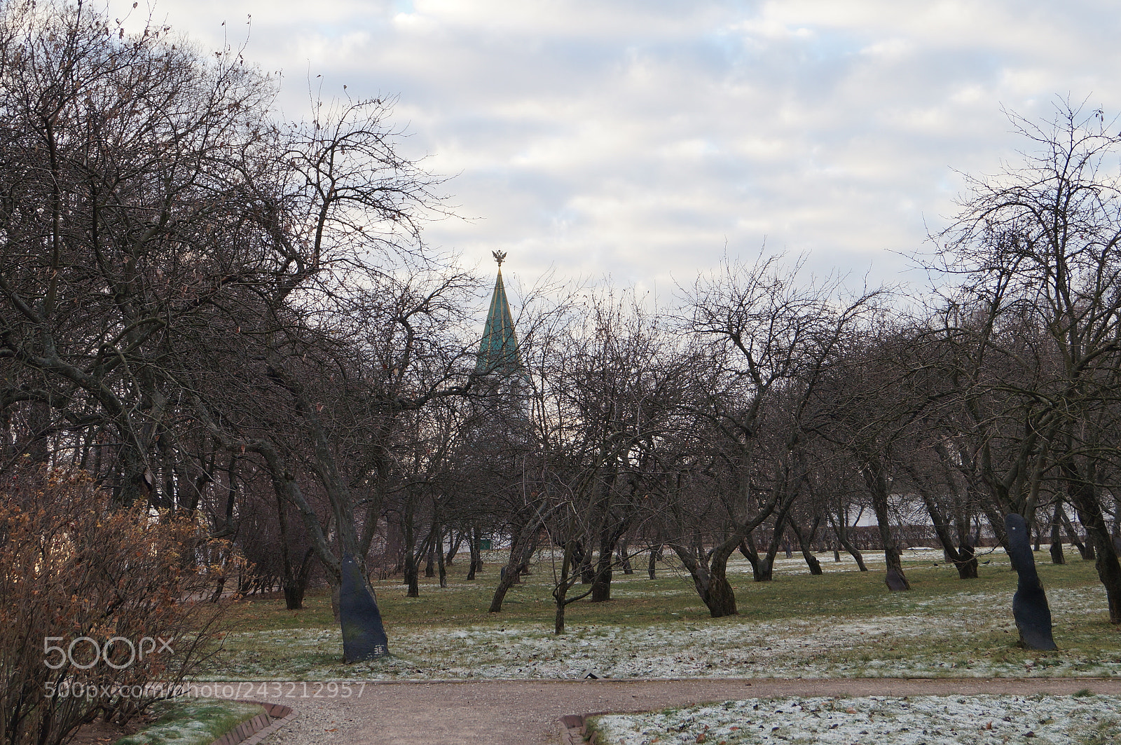 Sony SLT-A57 sample photo. Untitled photography
