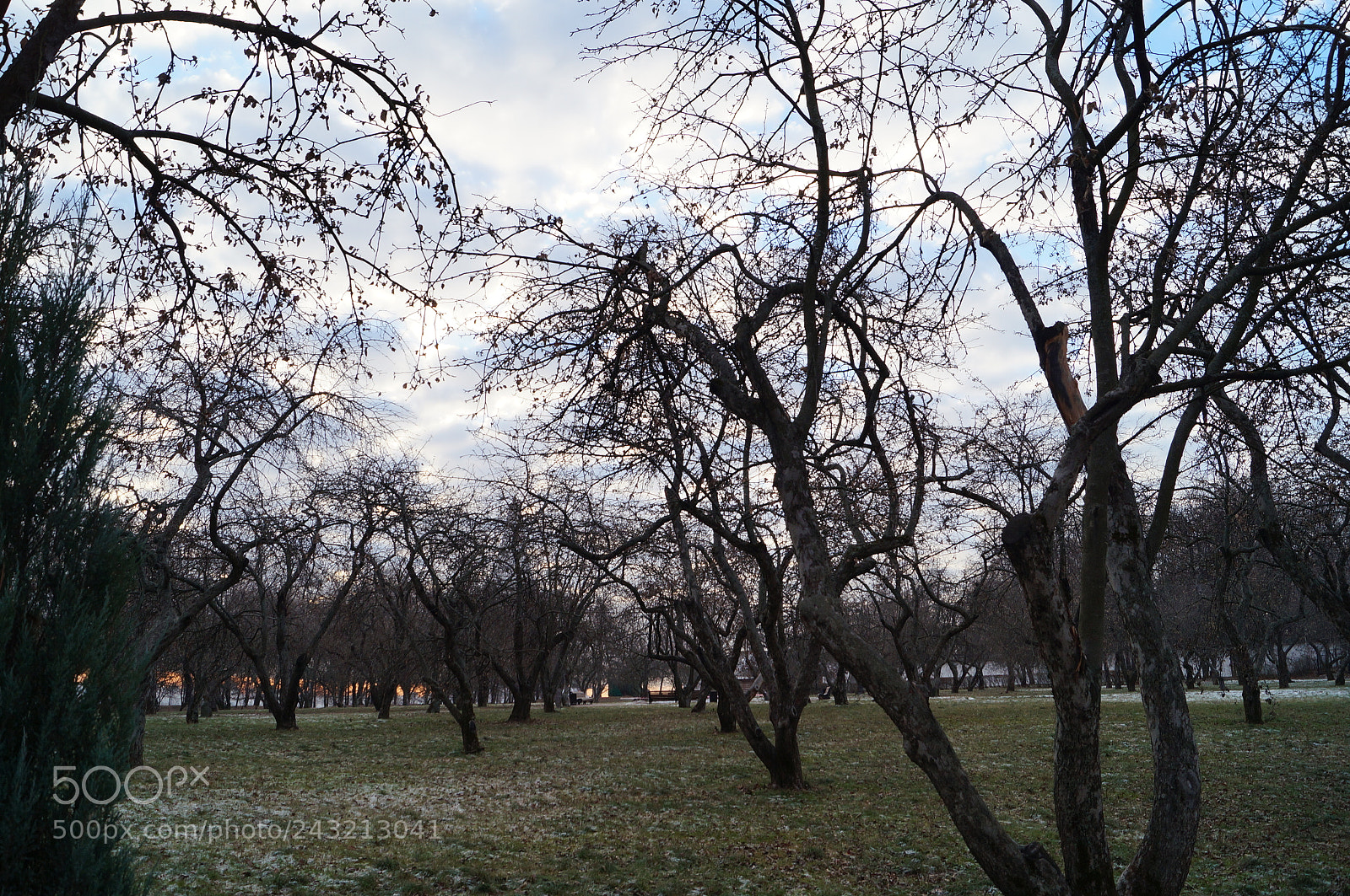 Sony SLT-A57 sample photo. Untitled photography
