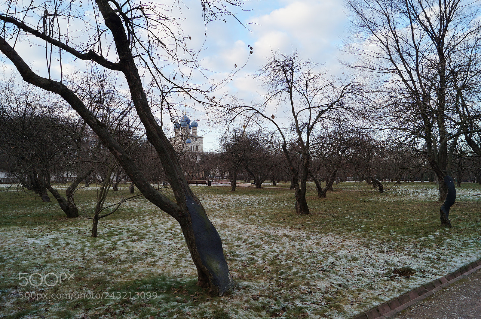 Sony SLT-A57 sample photo. Untitled photography
