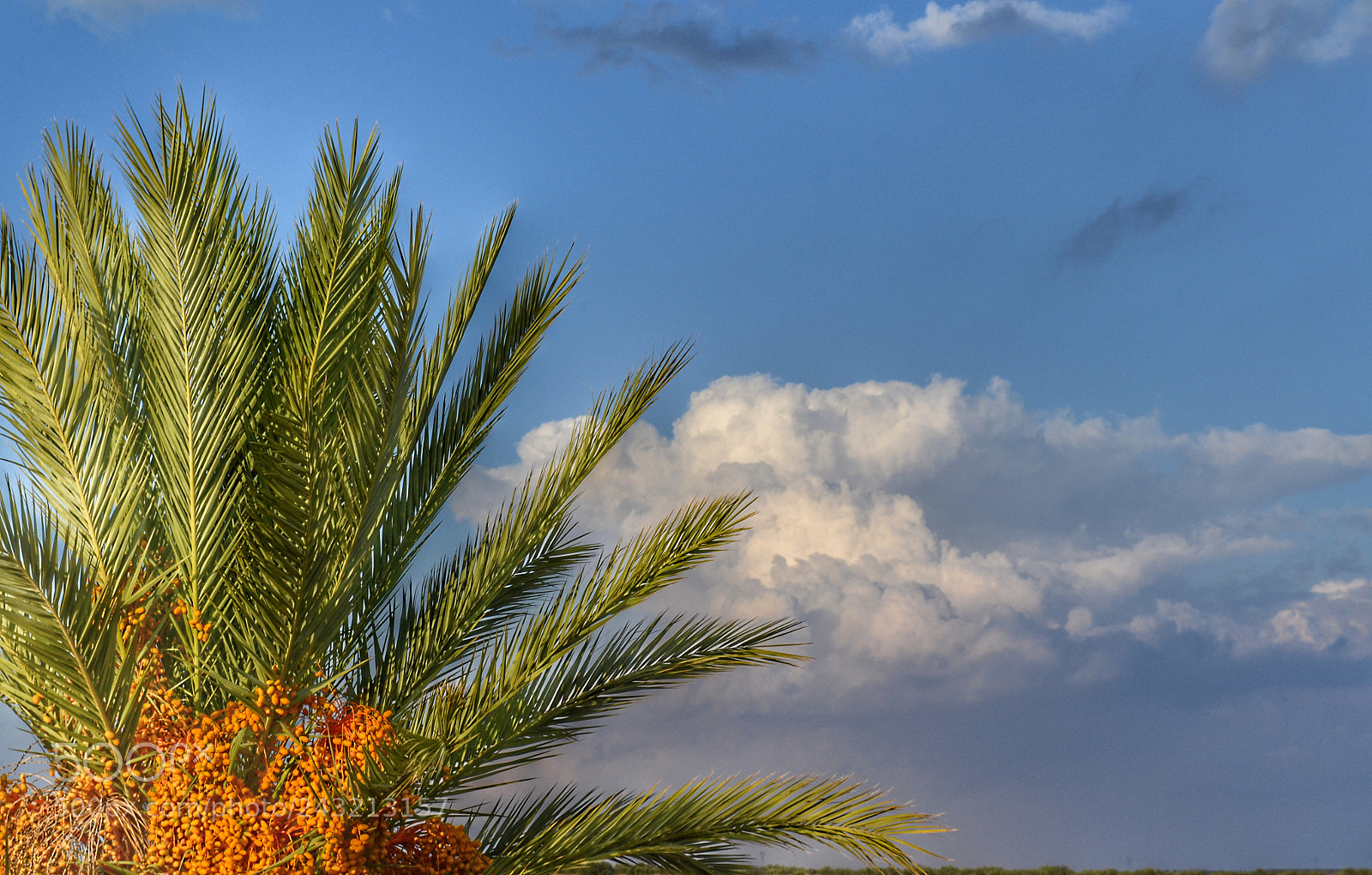 Nikon D3100 sample photo. Untitled photography