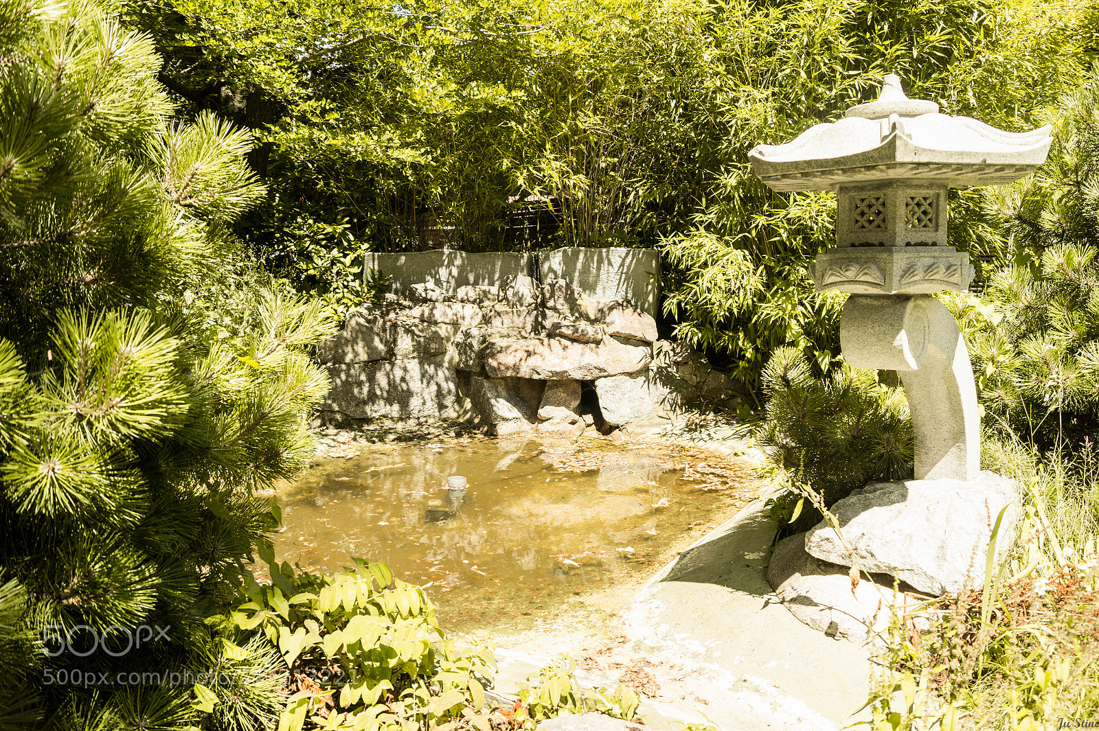 Sony SLT-A58 sample photo. Jardin asiatique photography