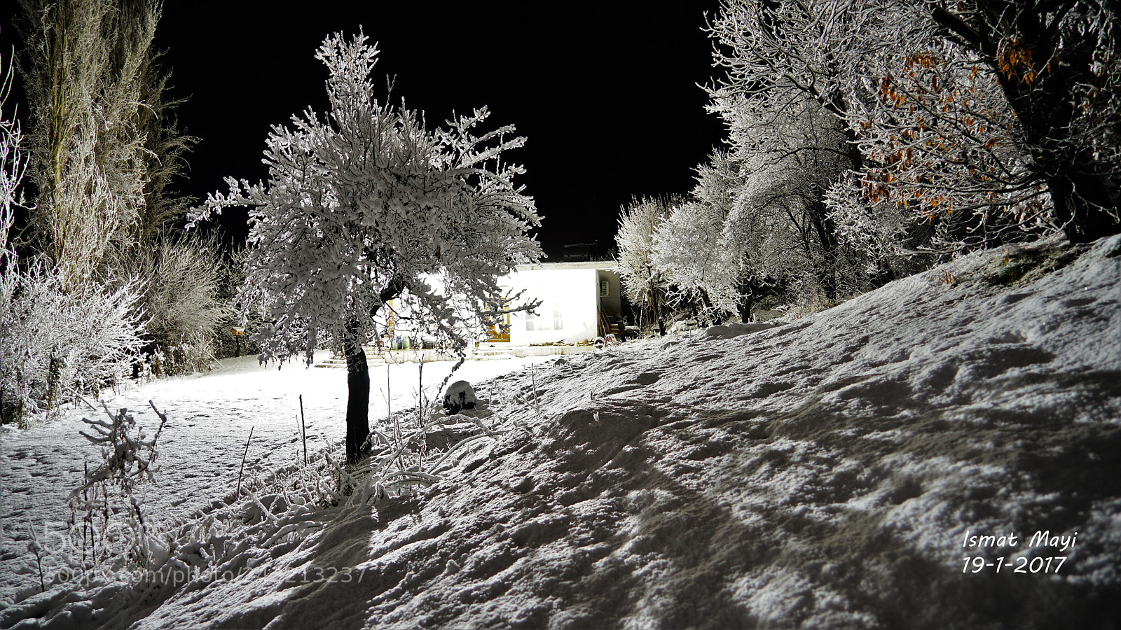 Sony a7 II sample photo. 1.jpg photography