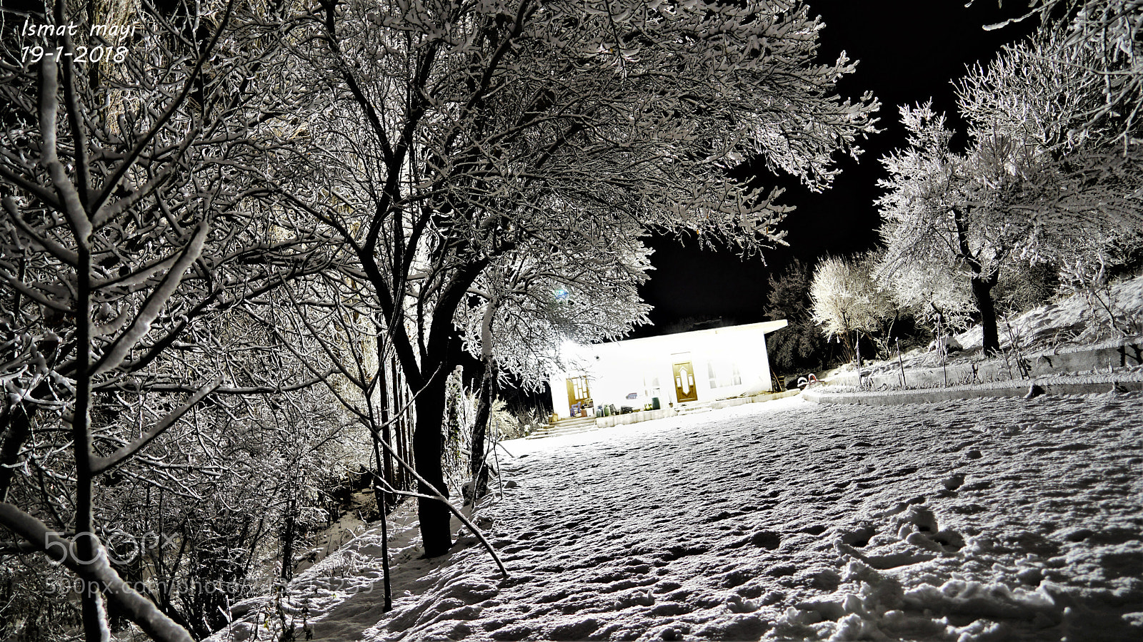 Sony a7 II sample photo. 4.jpg photography