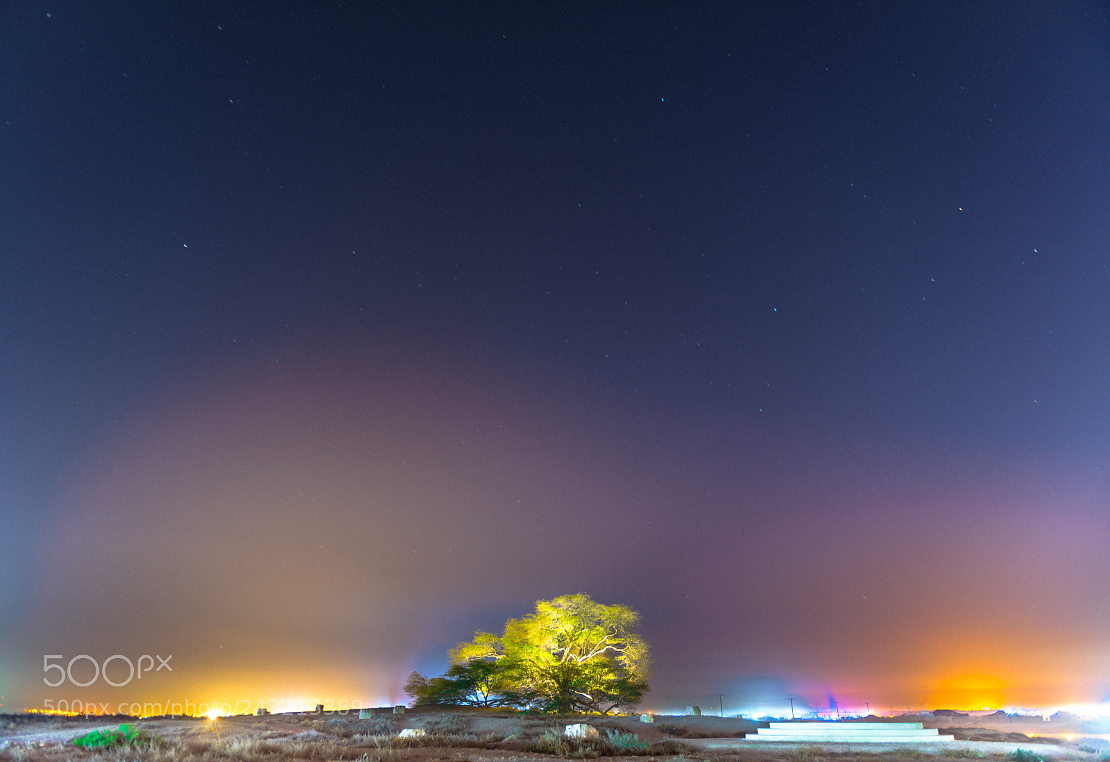 Nikon D810 sample photo. Light pollution photography