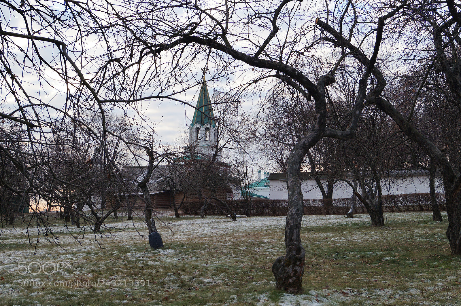 Sony SLT-A57 sample photo. Untitled photography